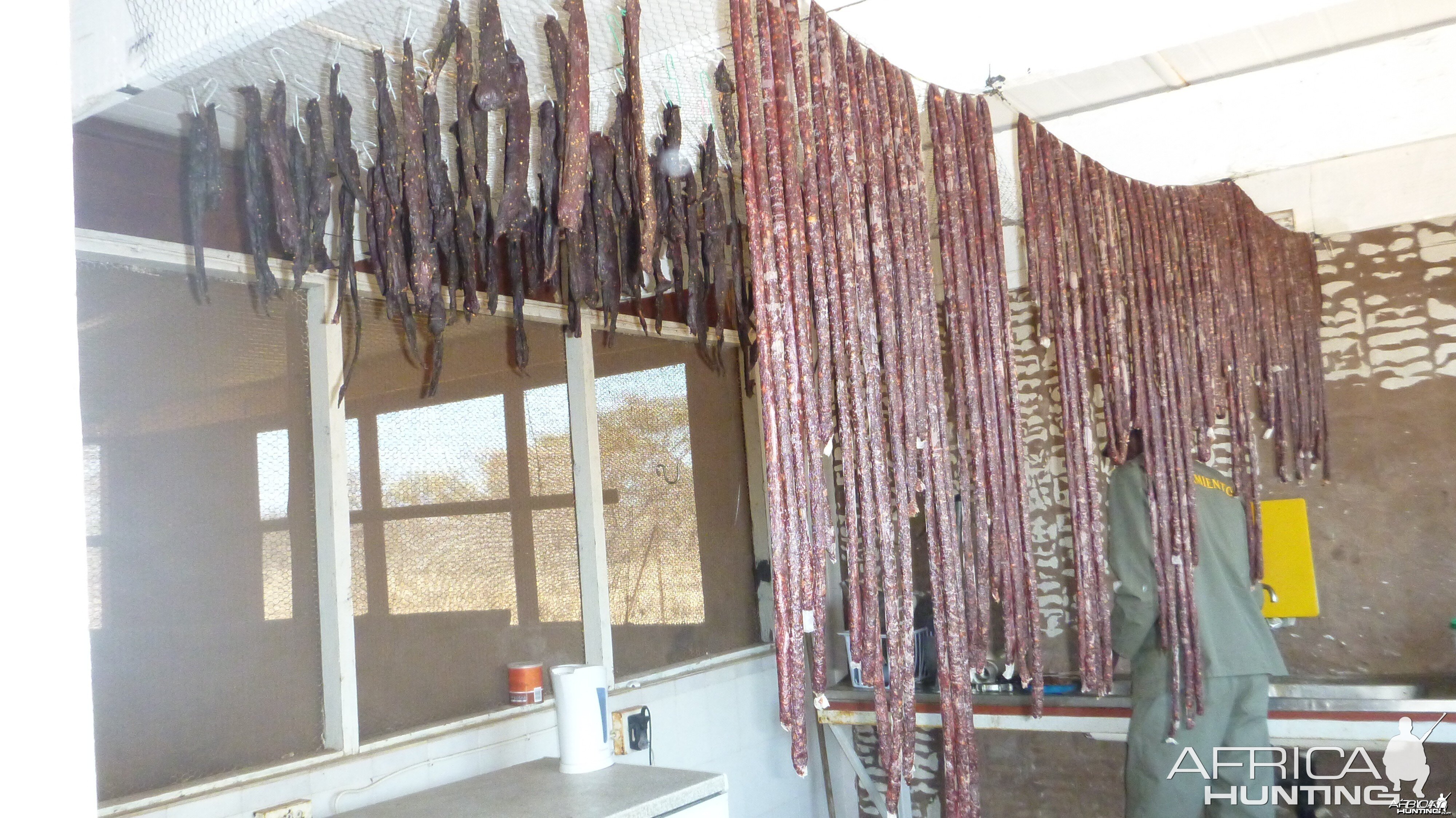 the management blue wildebeest "the biltong tree"