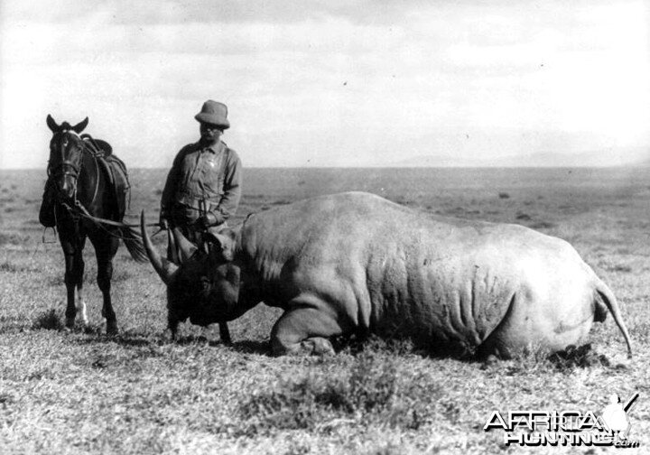 Theodore Roosevelt and his prize rhino