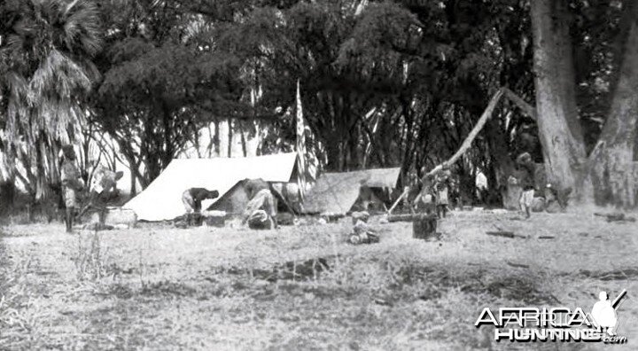 Theodore Roosevelt, camp in thorn grove by Guaso Nyero