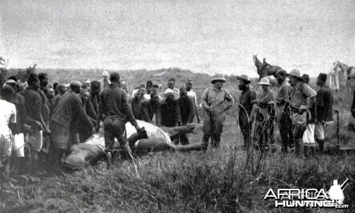 Theodore Roosevelt, the dead hippo