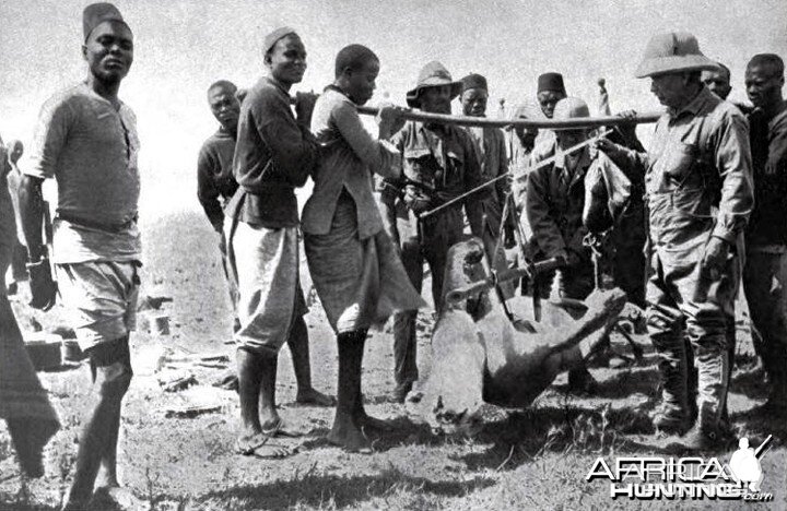 Theodore Roosevelt weighing a lioness shot by him