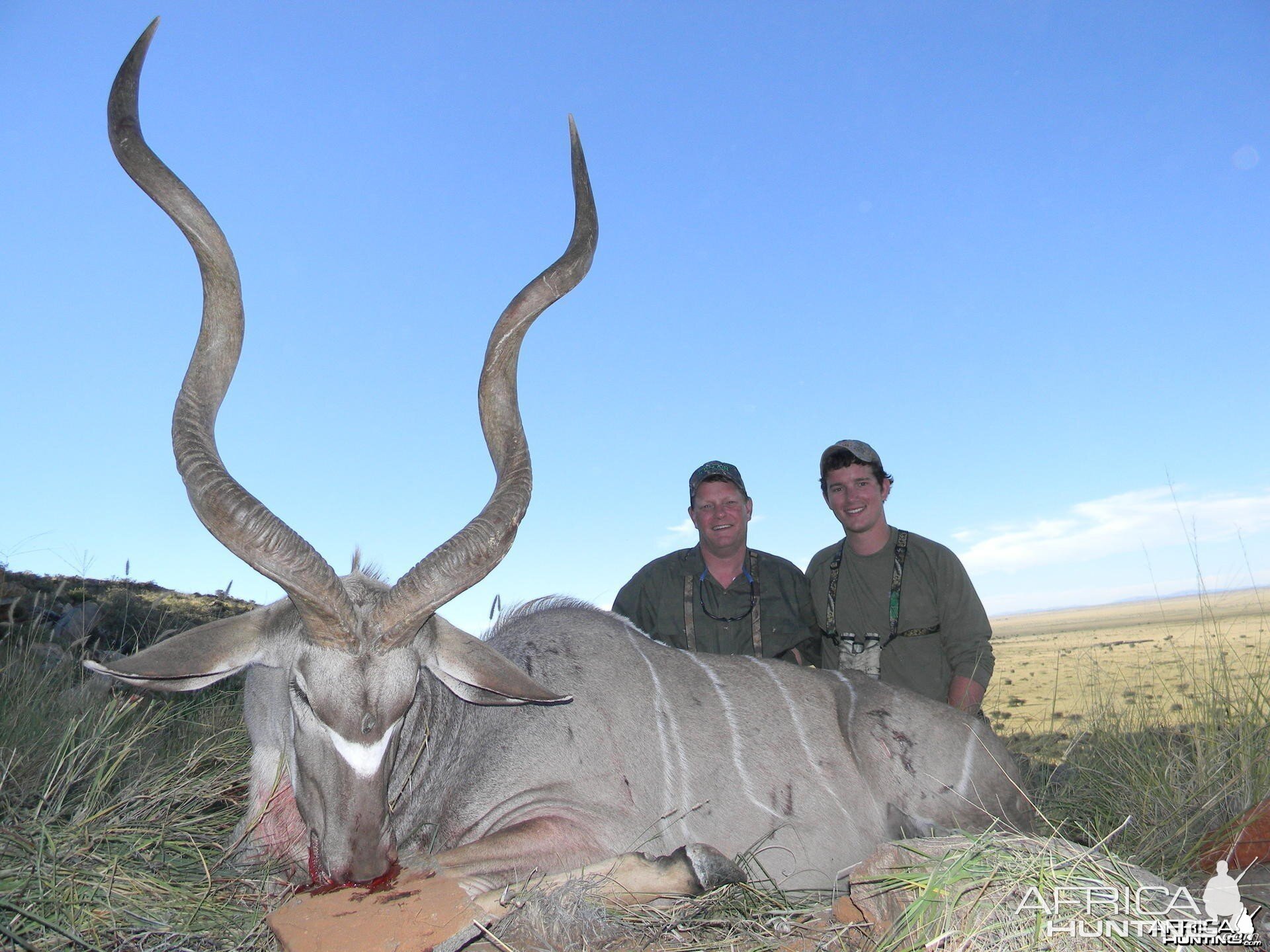 Three horned Greater Kudu hunted in South Africa