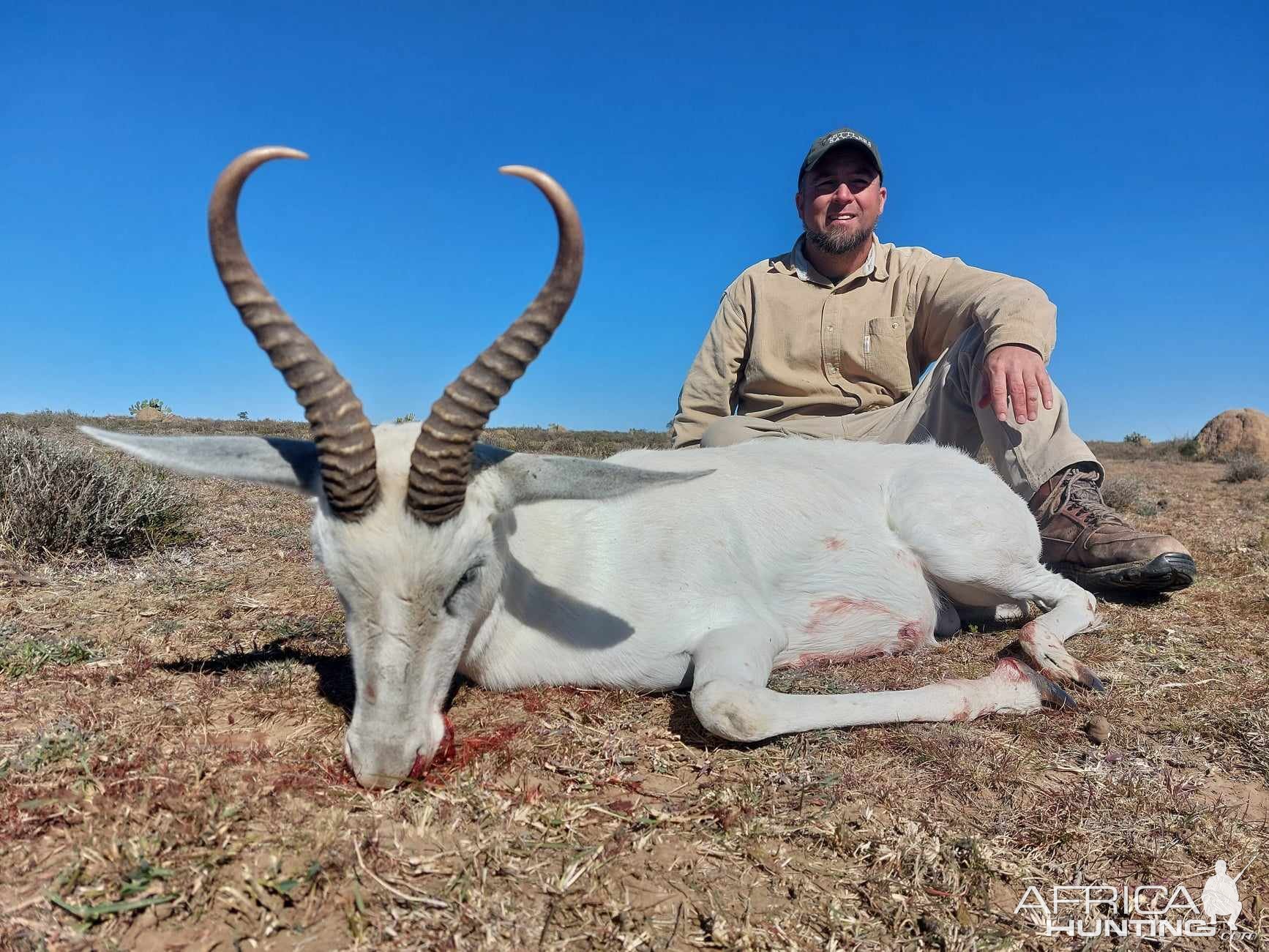 Three Legged Springbok Hunt Eastern Cape South Africa