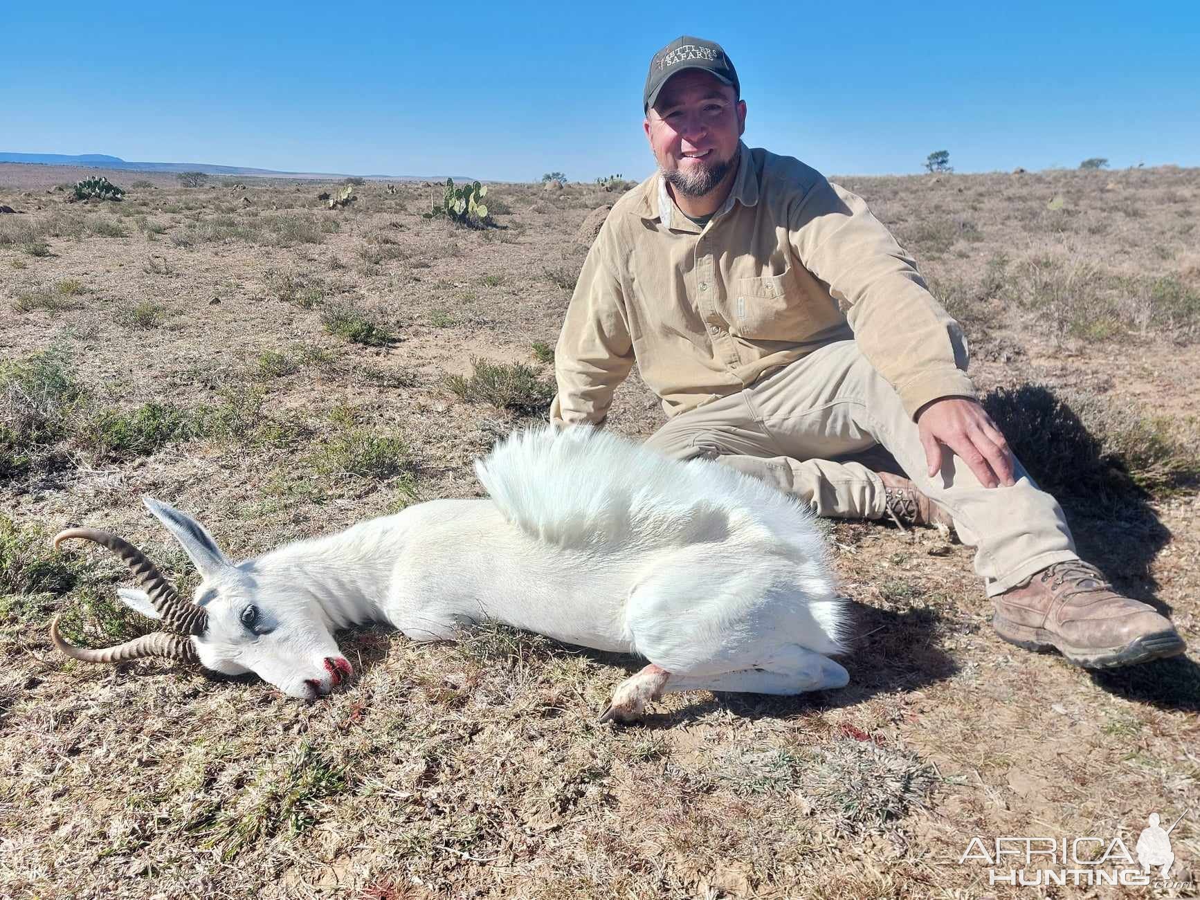 Three Legged Springbok Hunt Eastern Cape South Africa