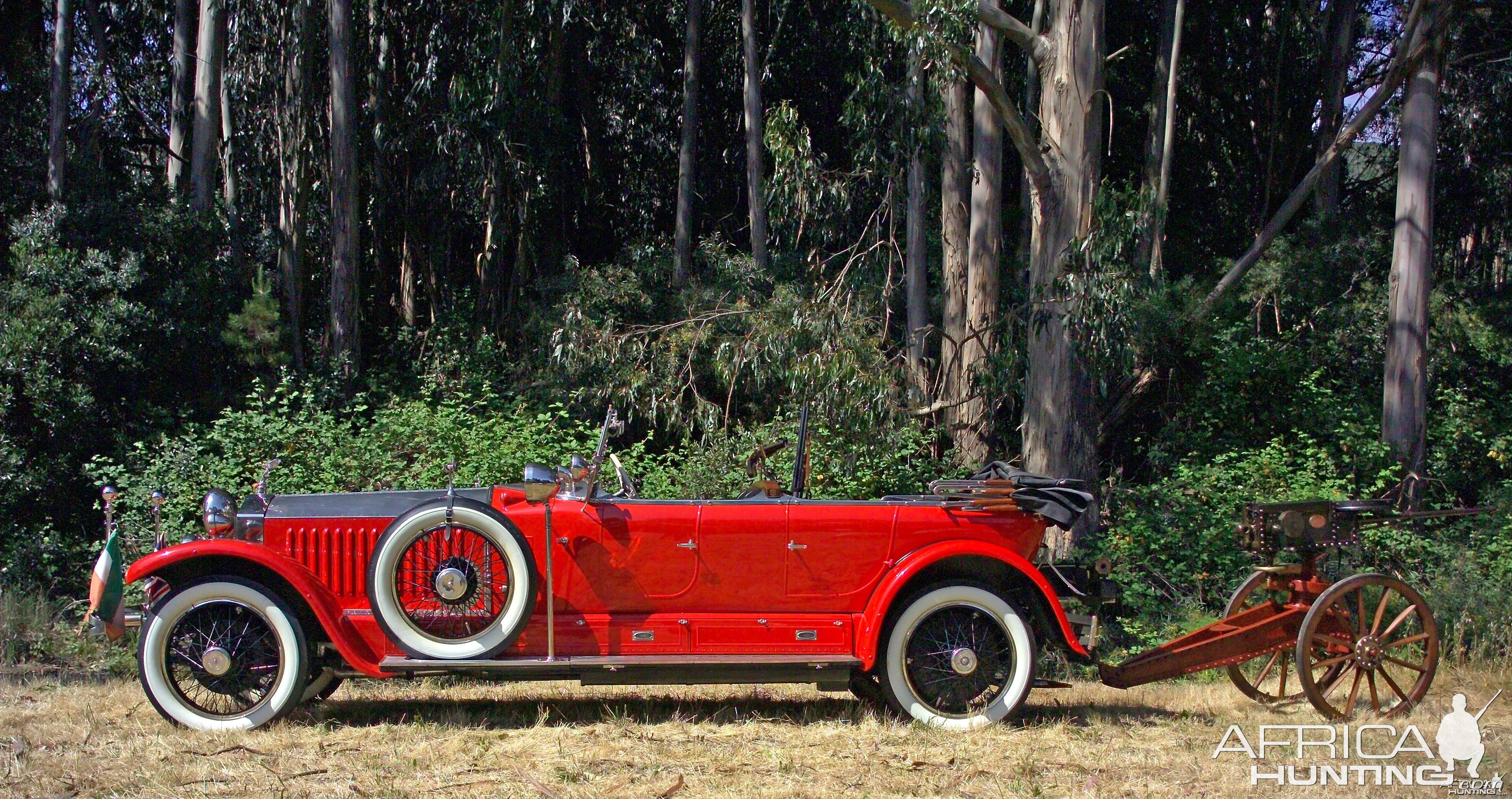 Tiger Car