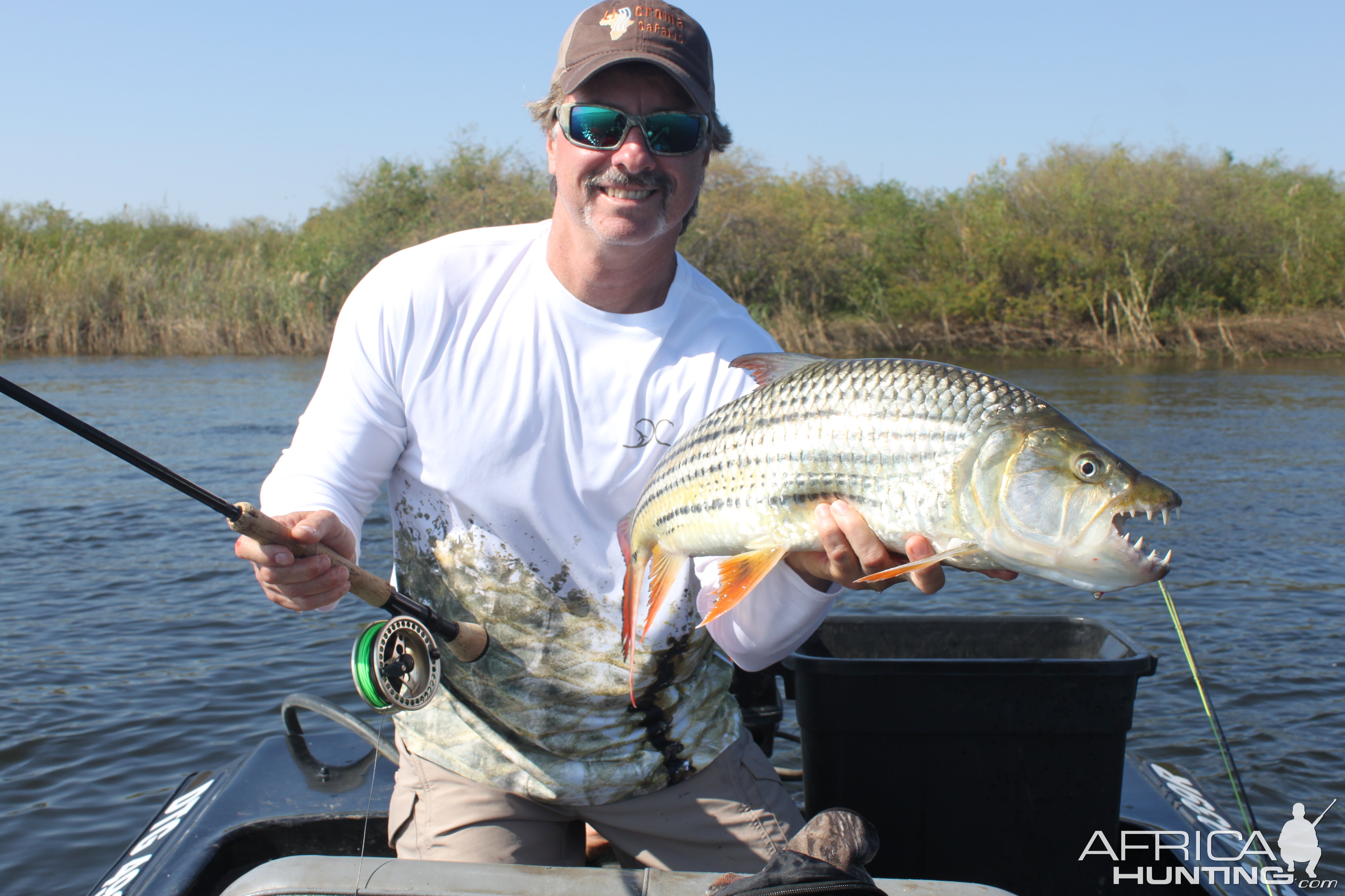 Tiger Fish Namibia Zambezi Fishing