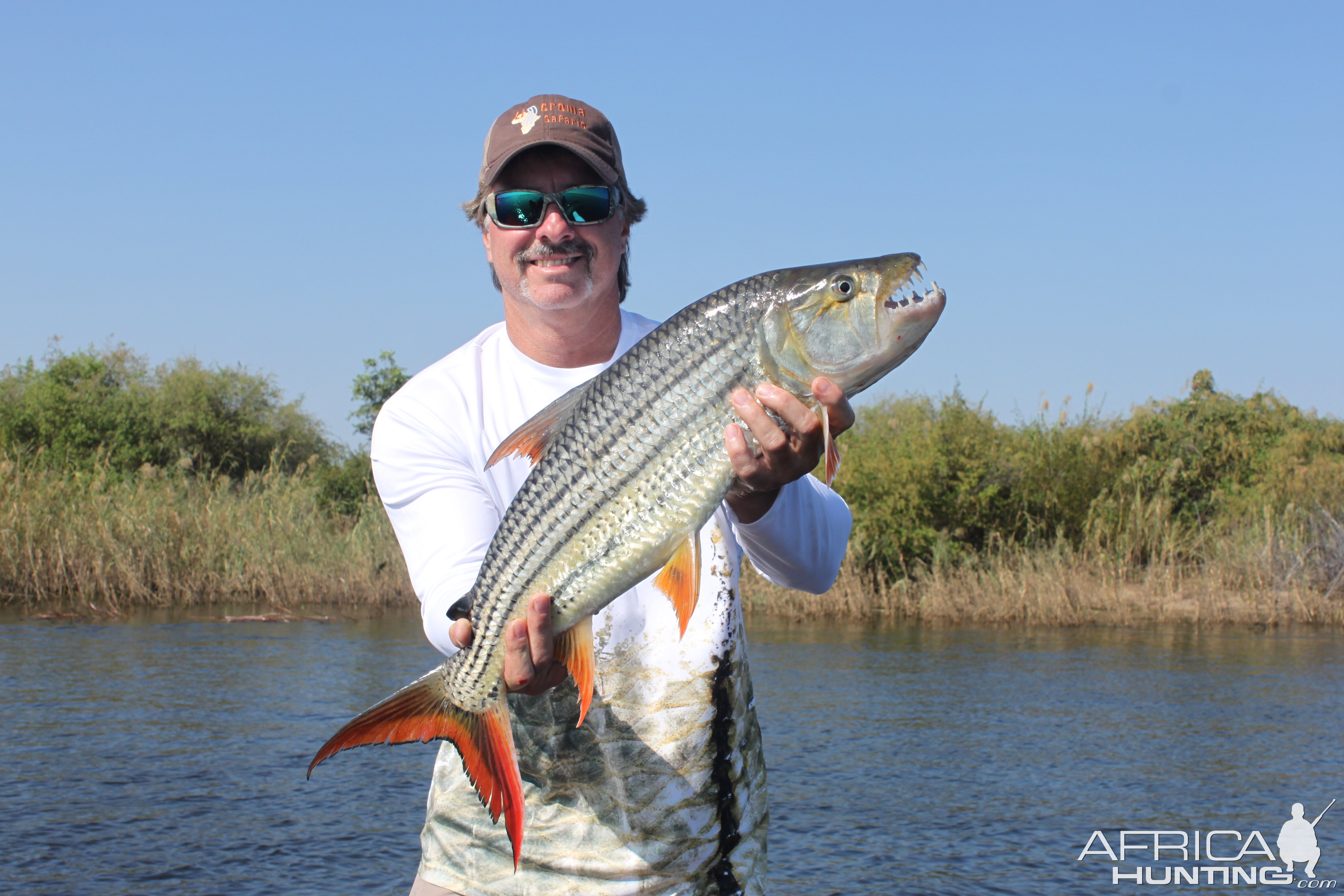 Tiger Fishing Zambezi Namibia