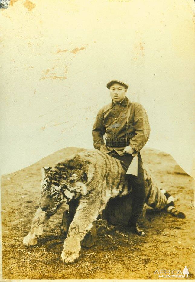 Tiger hunting in old Korea