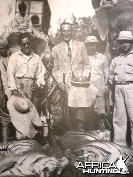 Tiger with Douglas Jardine 1936