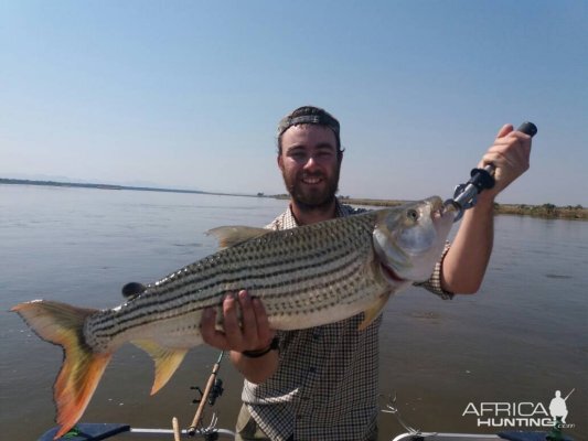 Tiger Zimbabwe Fishing