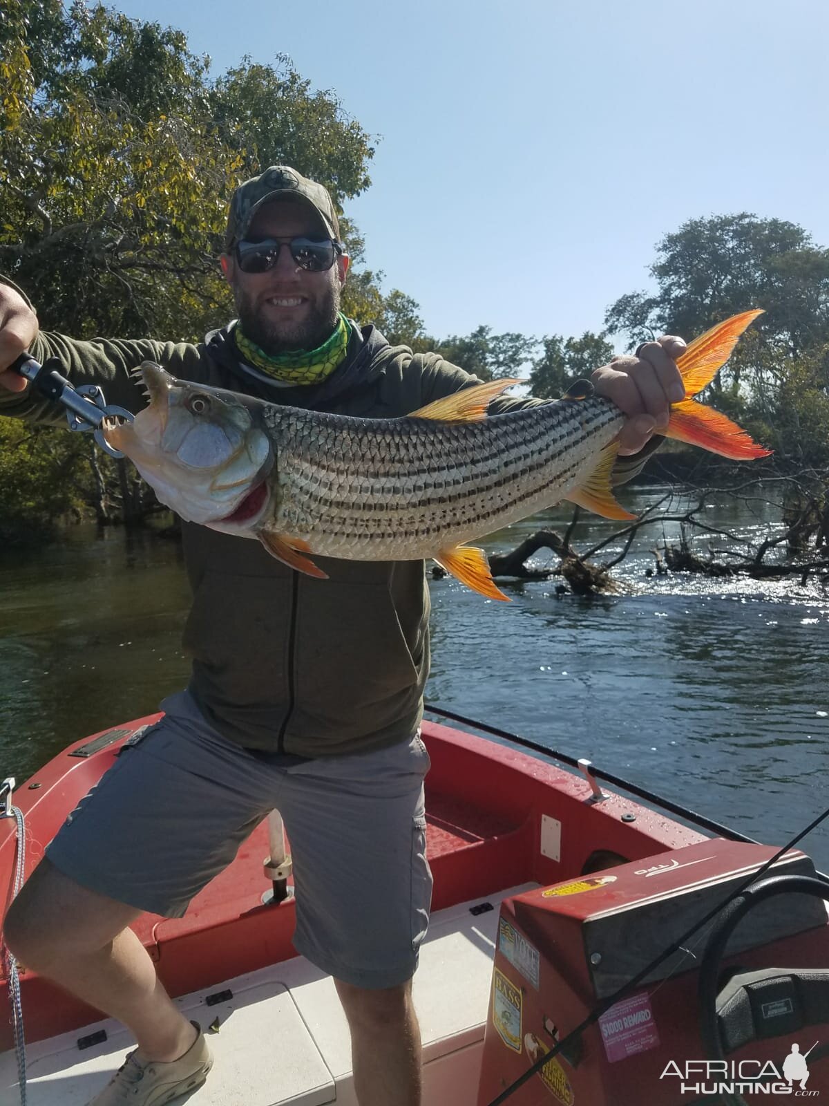 Tigerfish Fishing on the Zambezi Zimbabwe