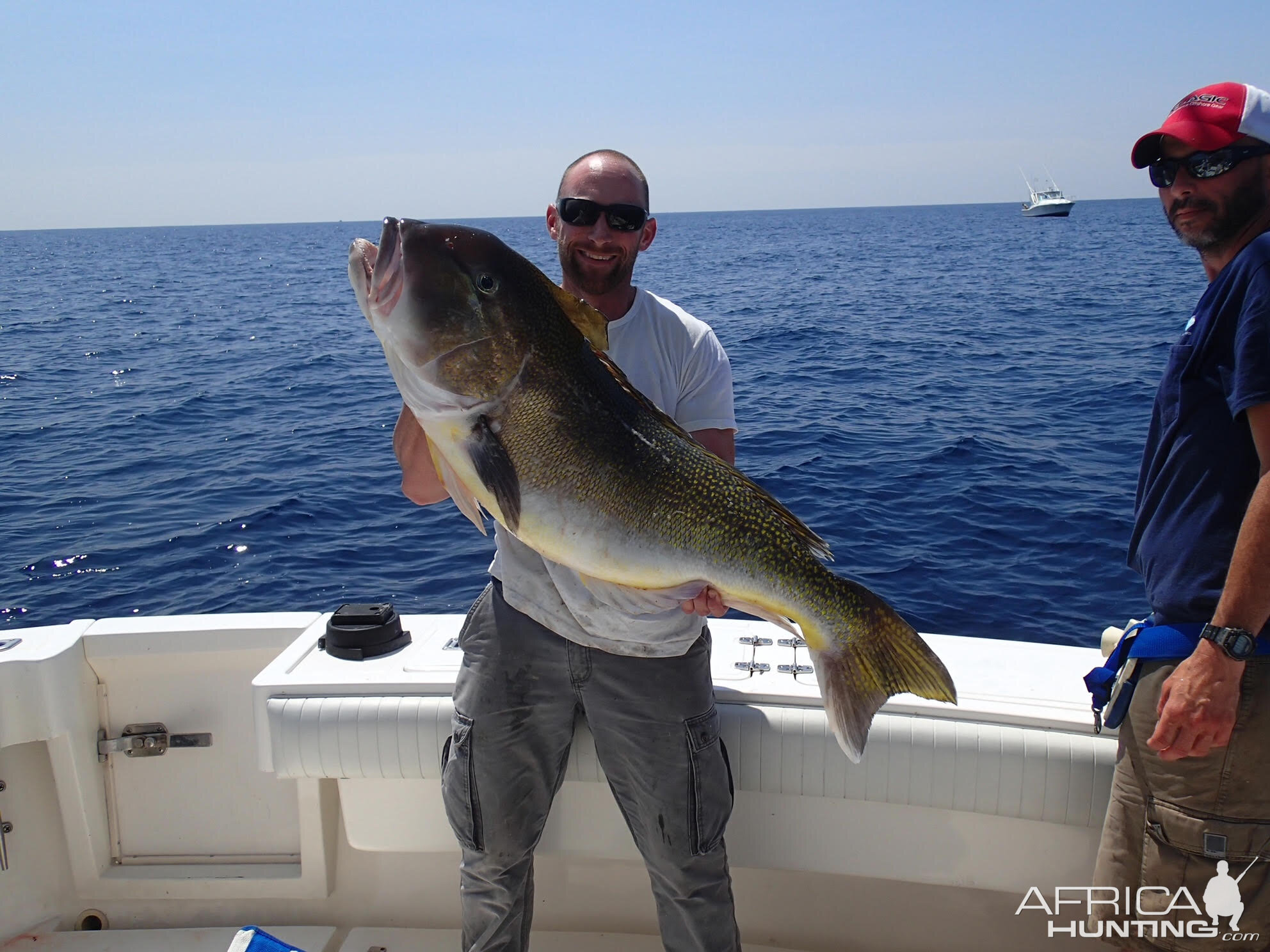 Tile Fish Offshore Fishing