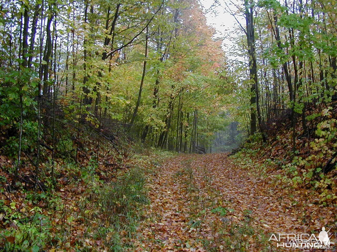 Tis the season, fall is upon us here in Wisconsin