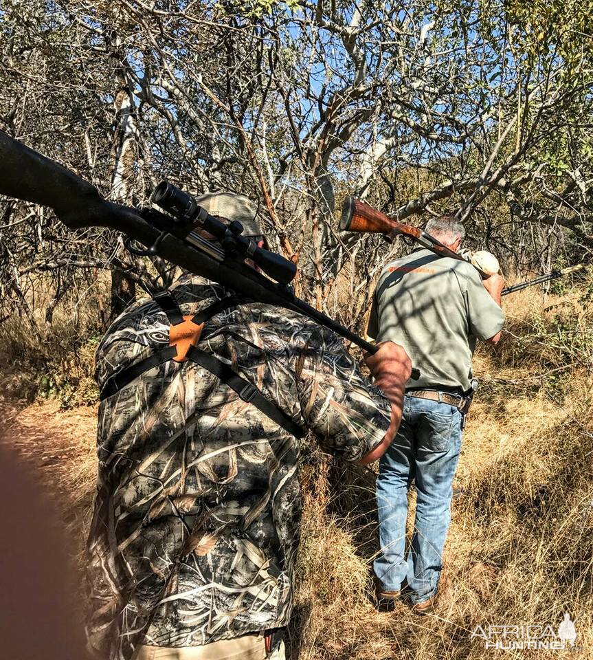 Tracking & Hunting Cape Buffalo South Africa | AfricaHunting.com