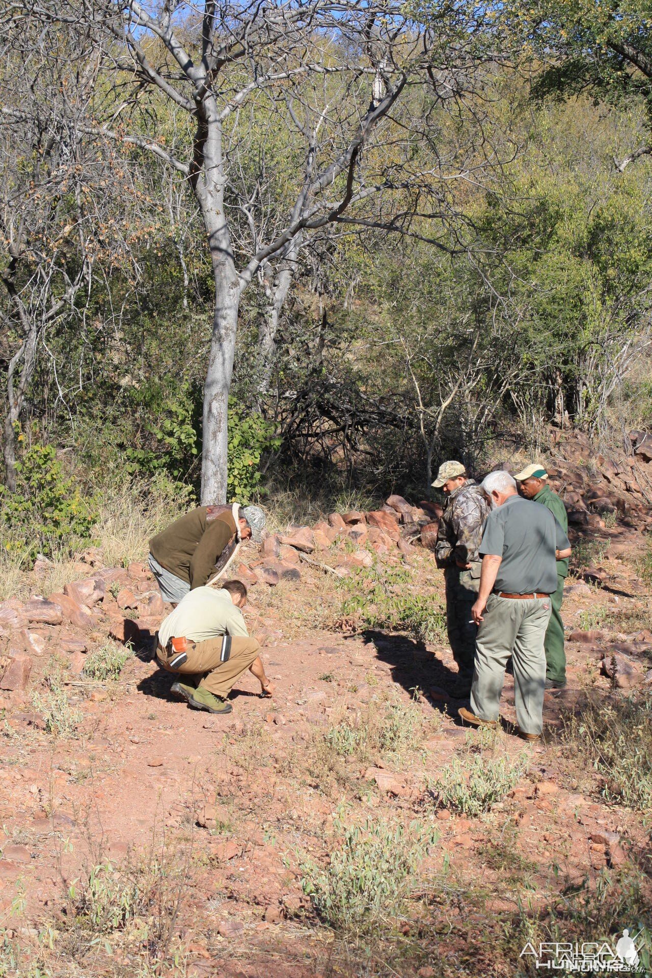 Tracking Leopard