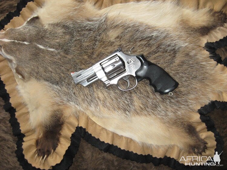 Trail Boss S&W Revolver in 44 Magnum