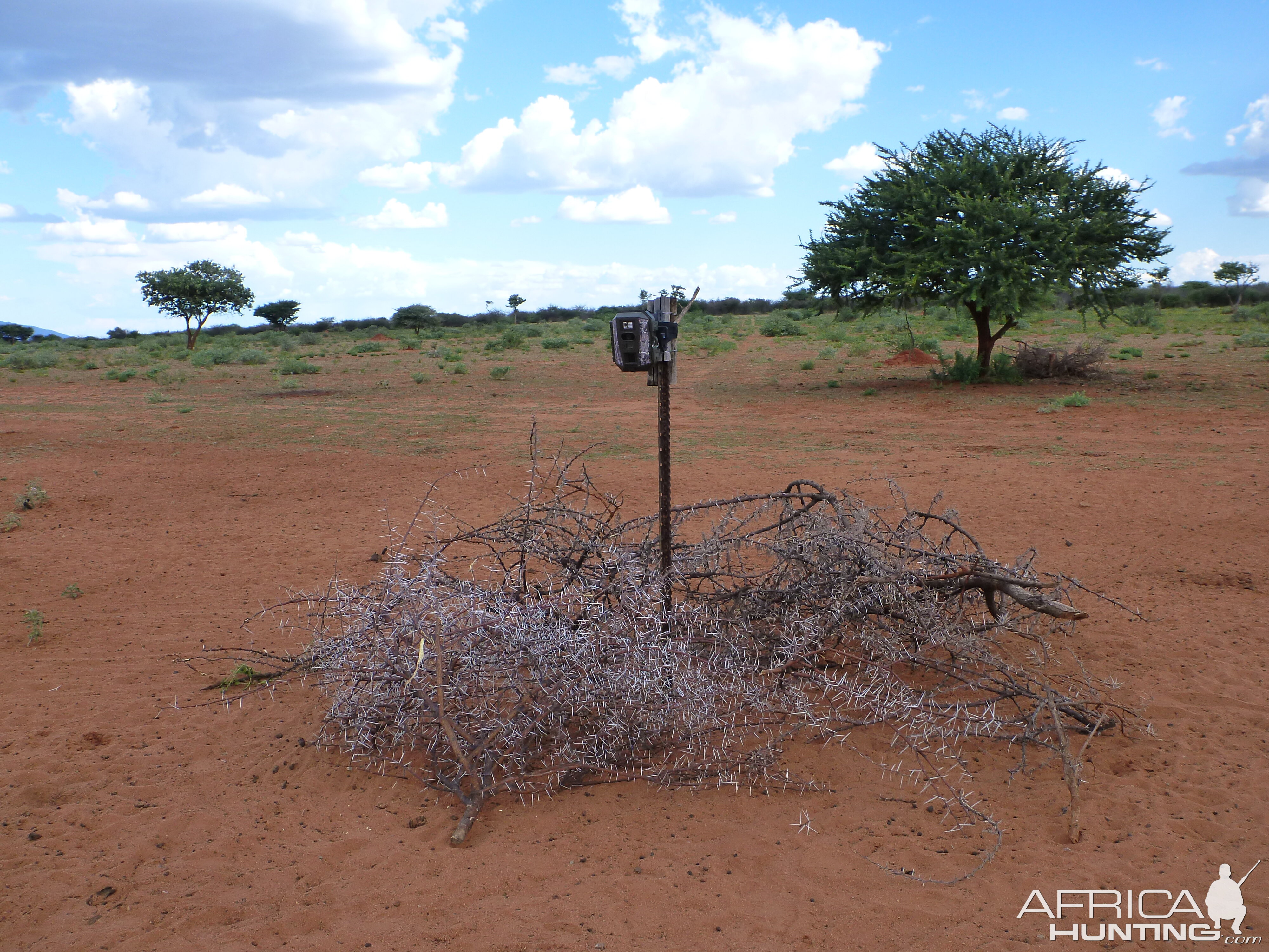 Trail Camera Namibia