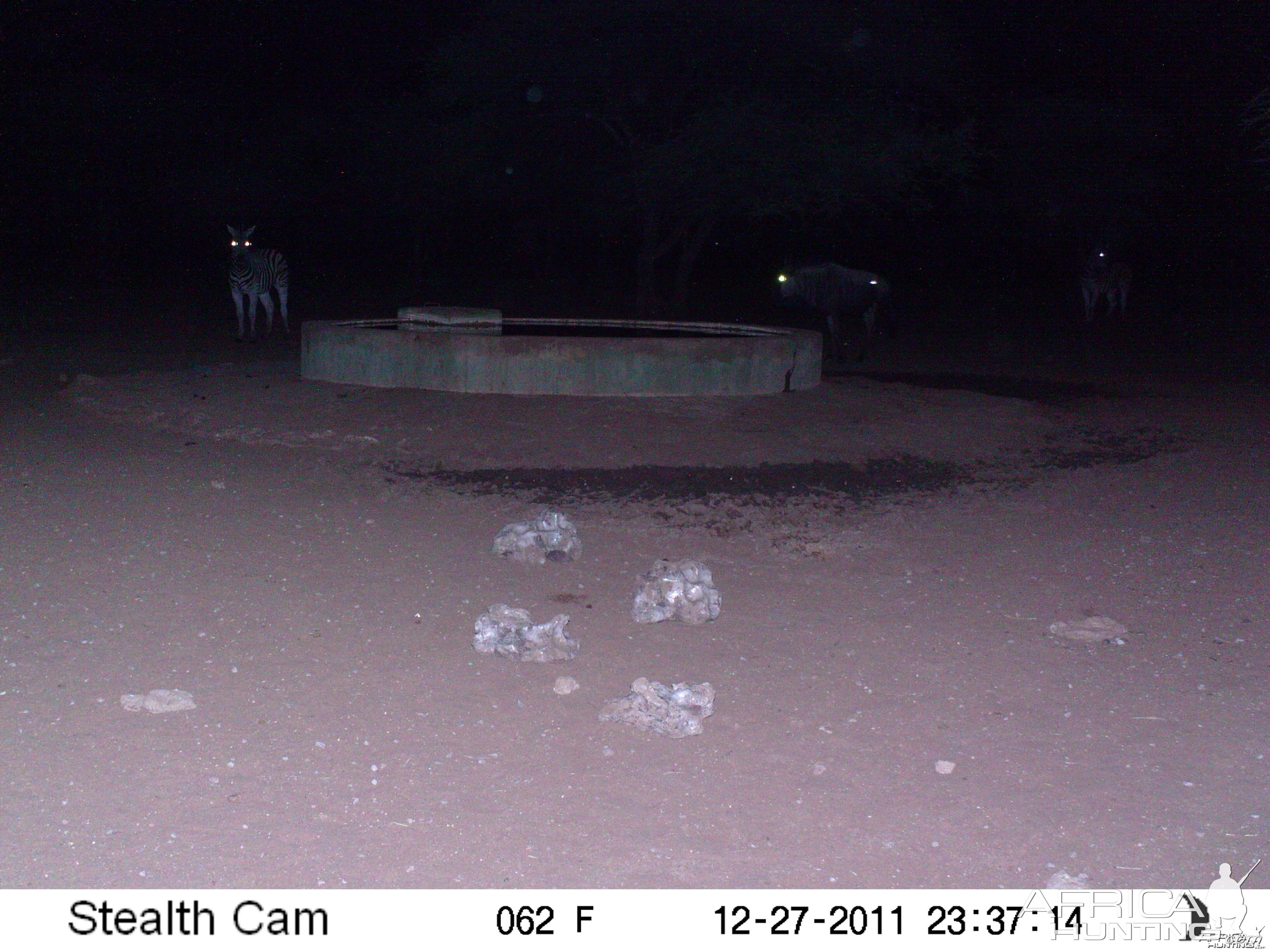 Trail Camera Namibia