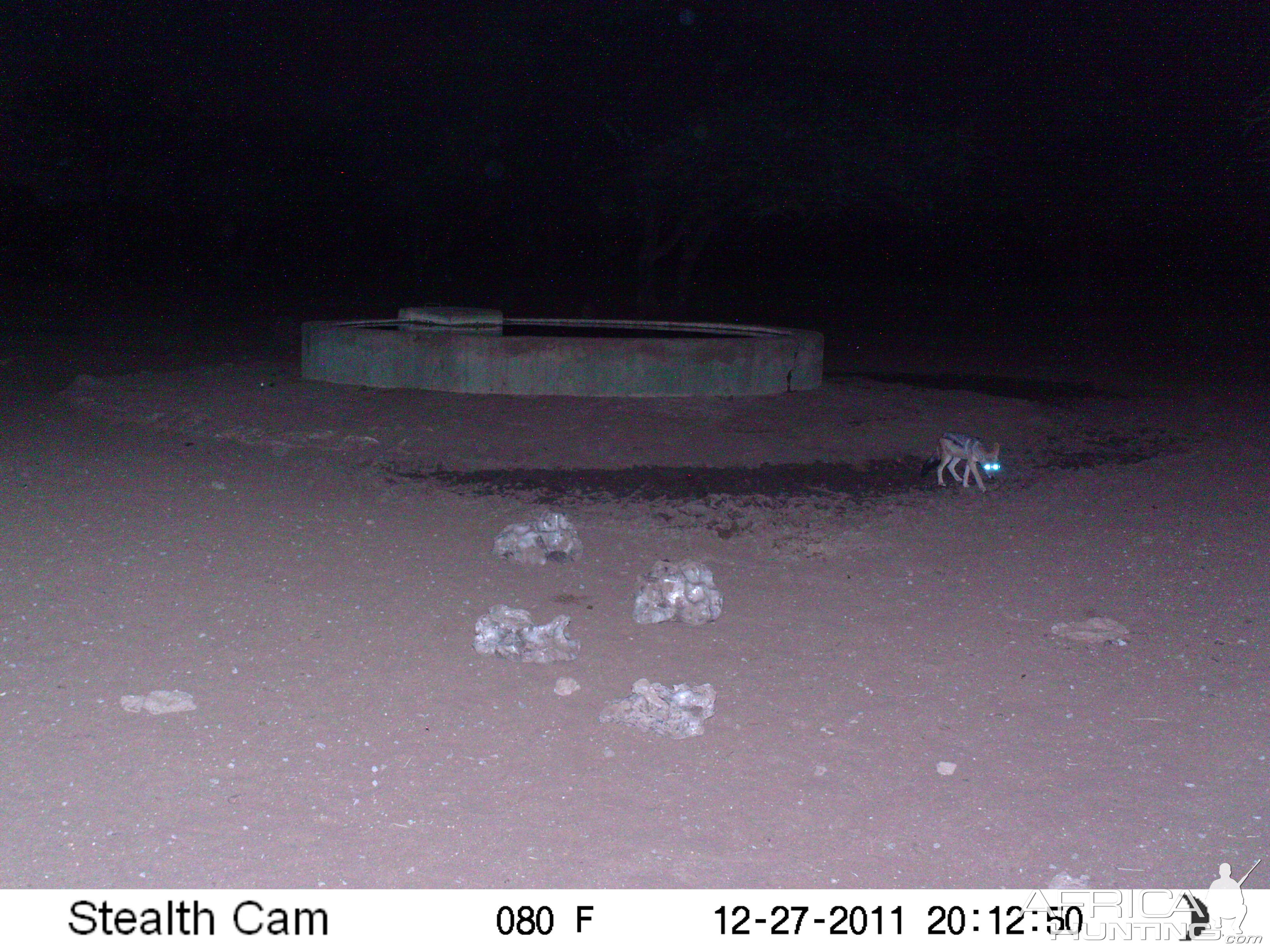 Trail Camera Namibia