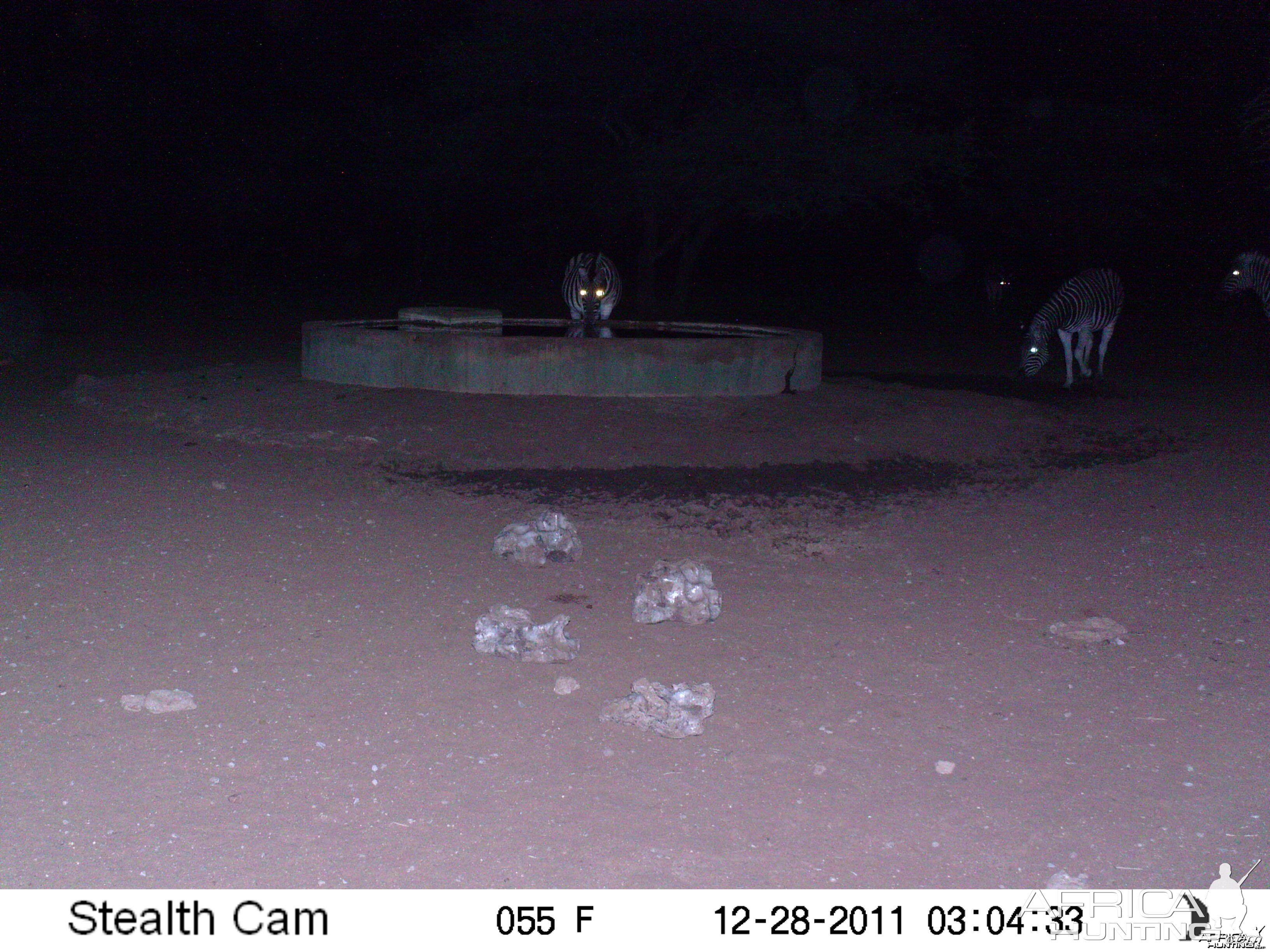 Trail Camera Namibia