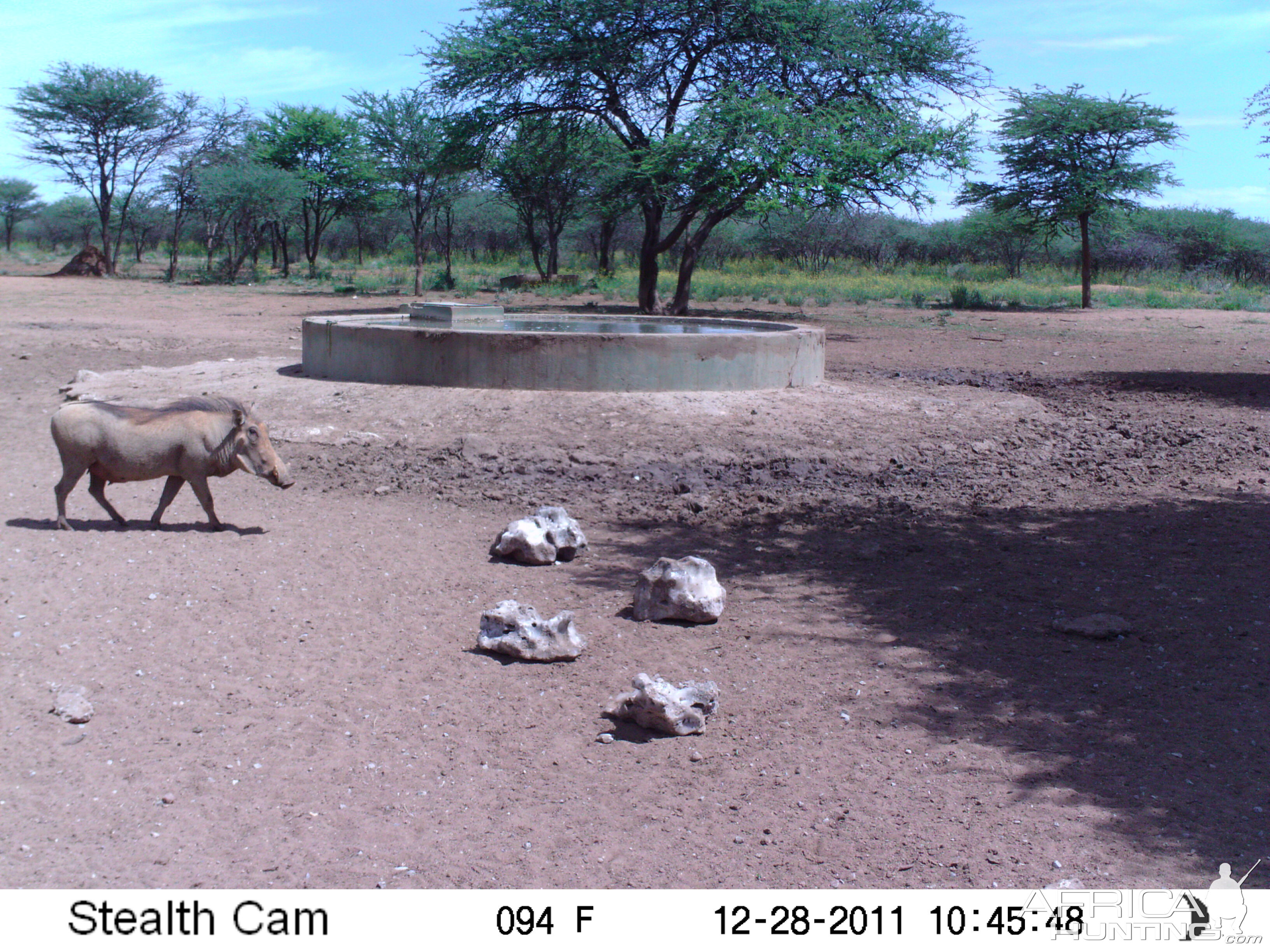 Trail Camera Namibia