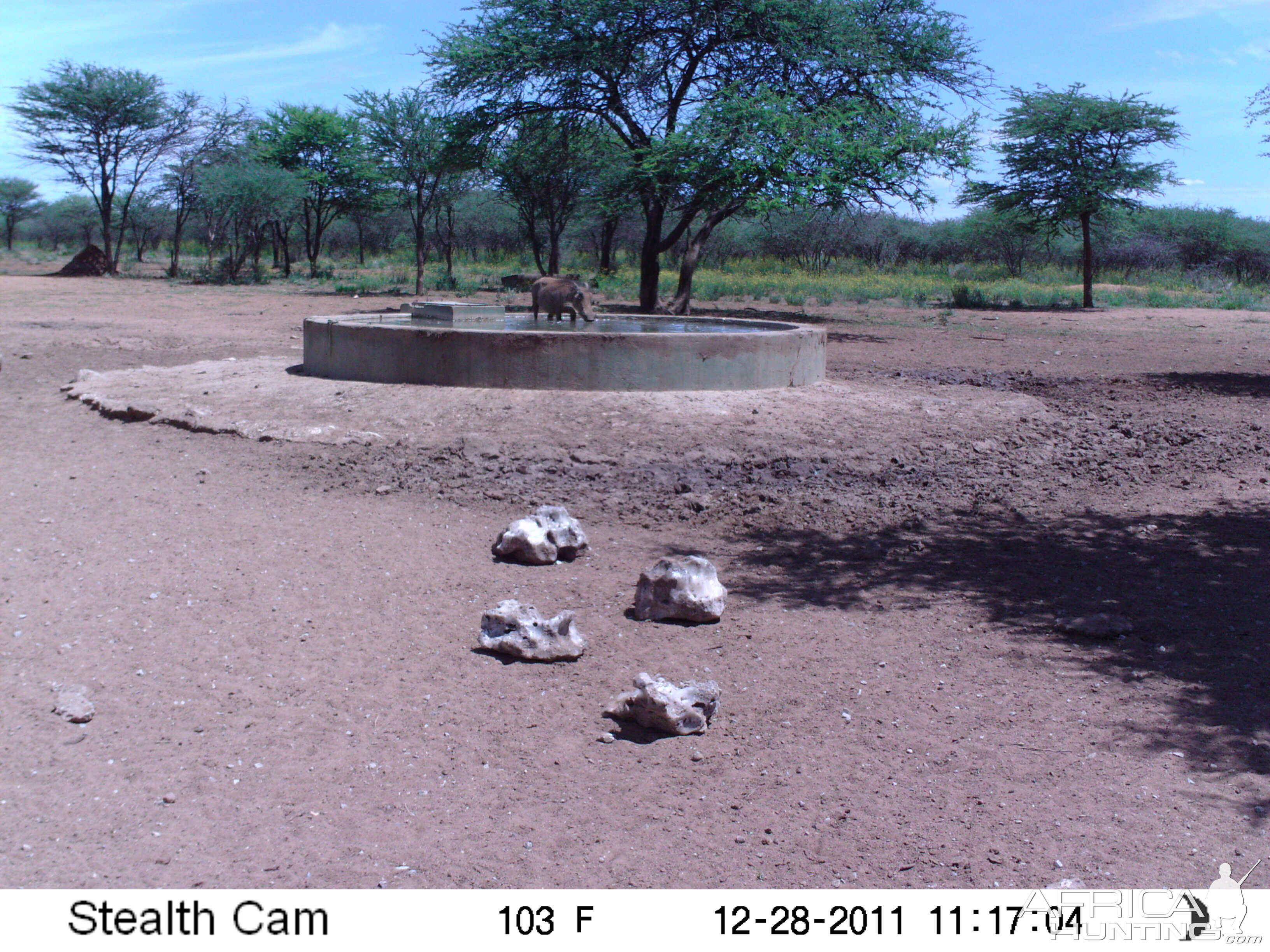 Trail Camera Namibia