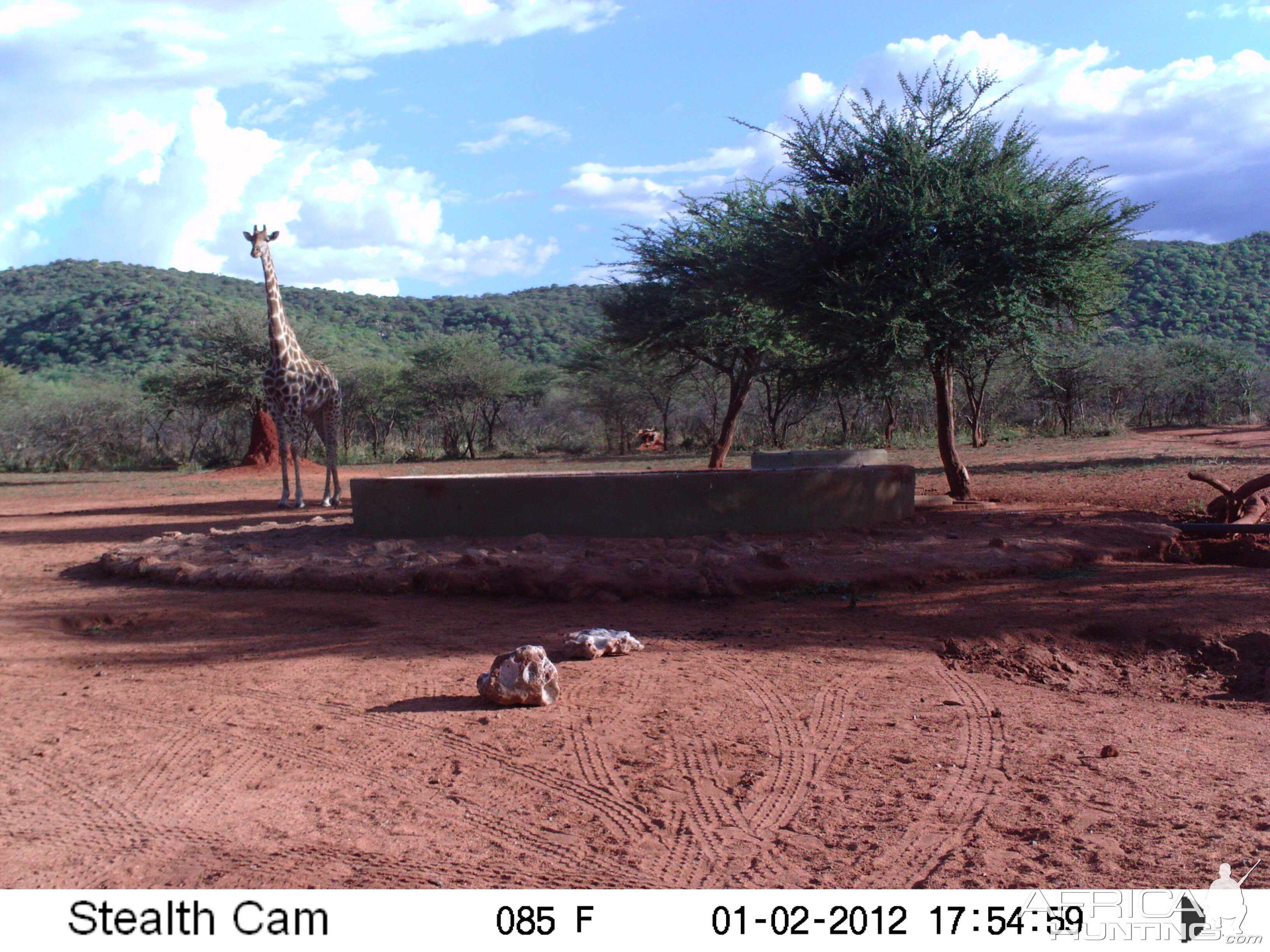 Trail Camera Namibia