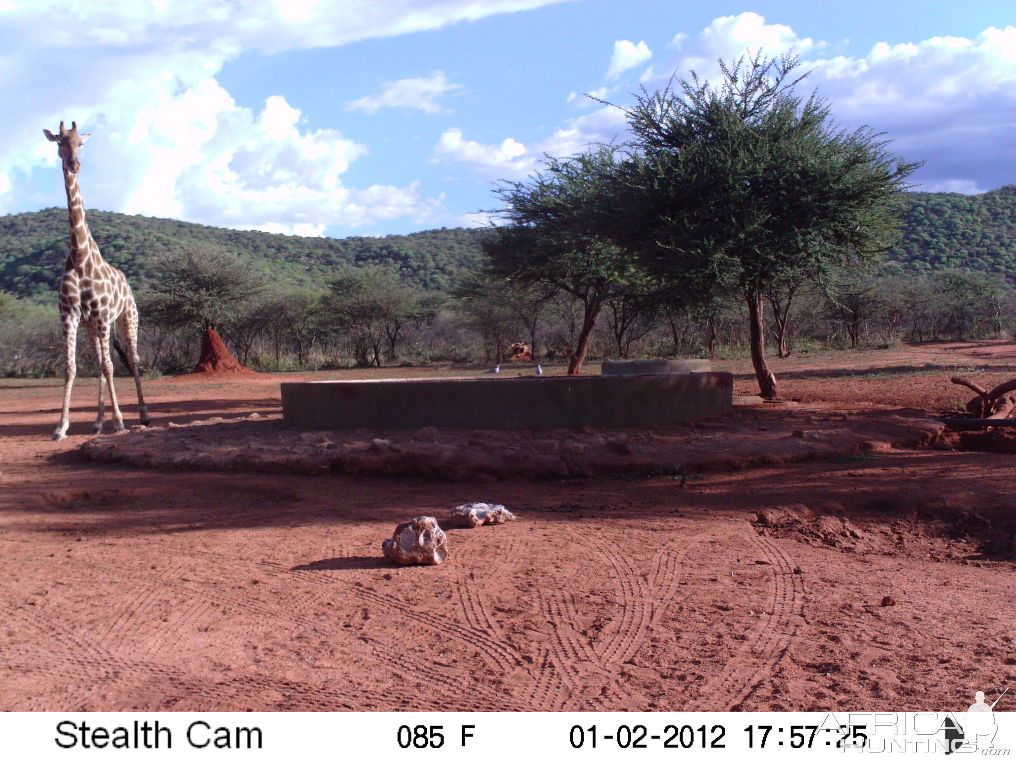 Trail Camera Namibia