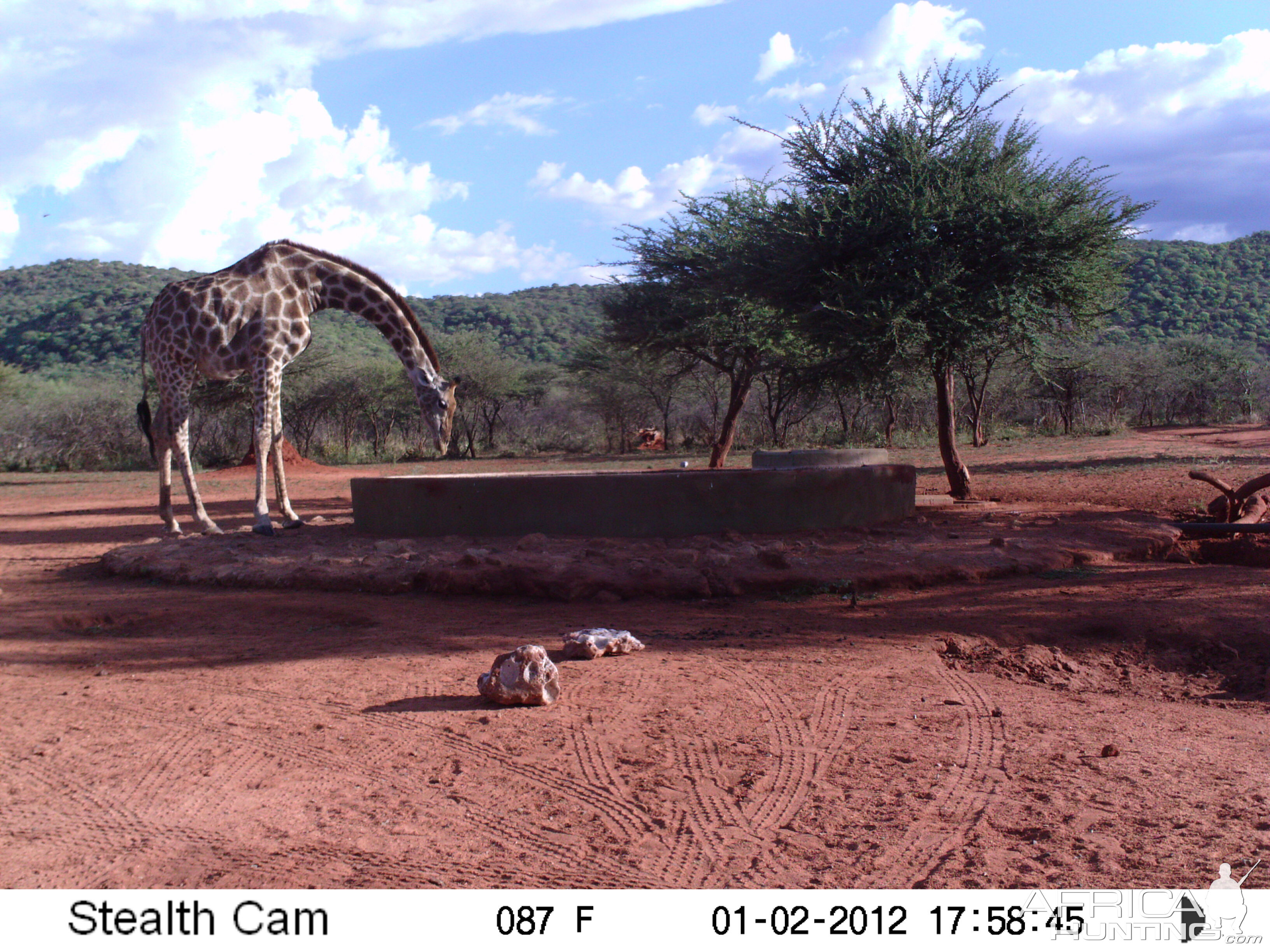 Trail Camera Namibia