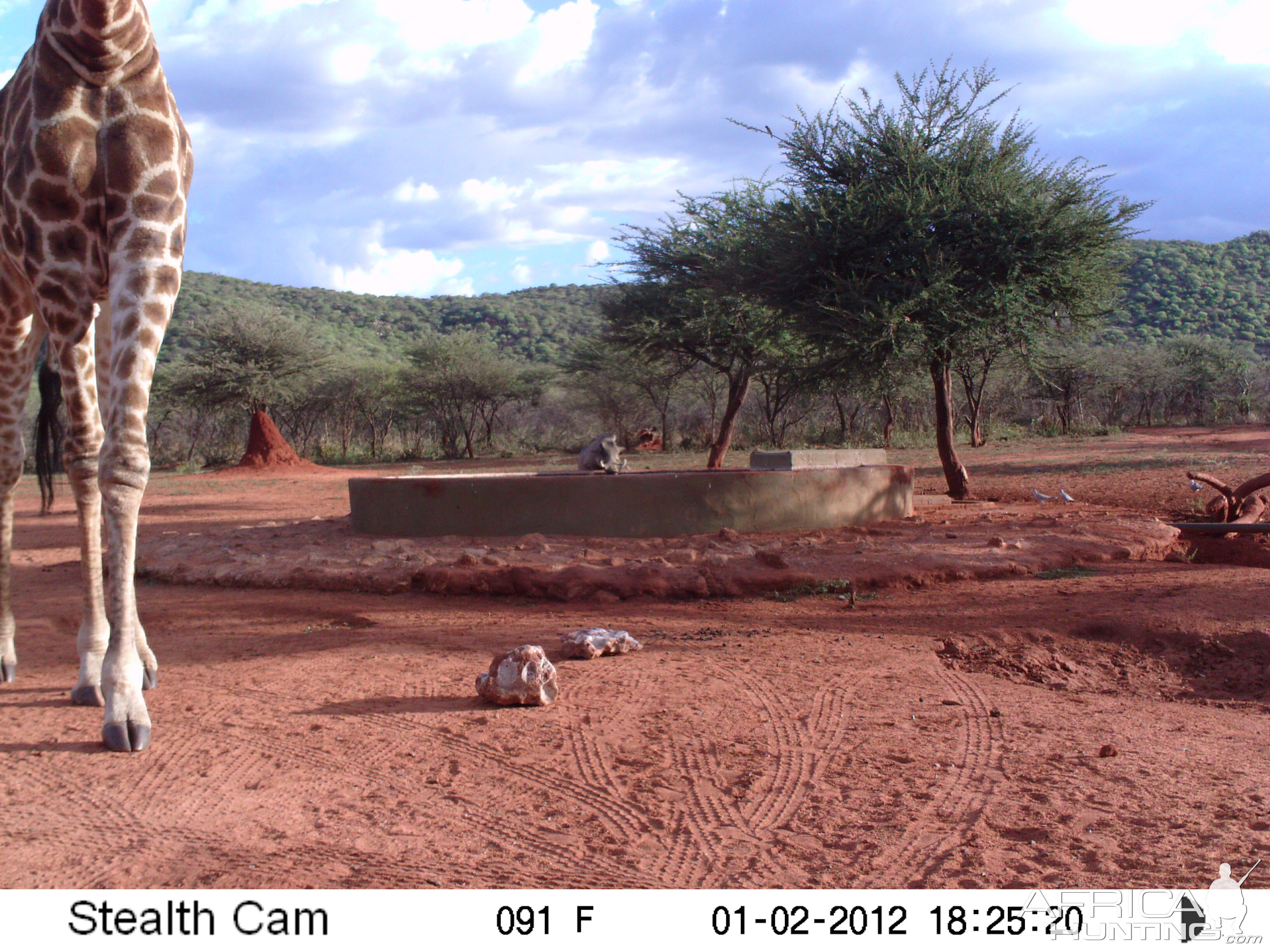 Trail Camera Namibia