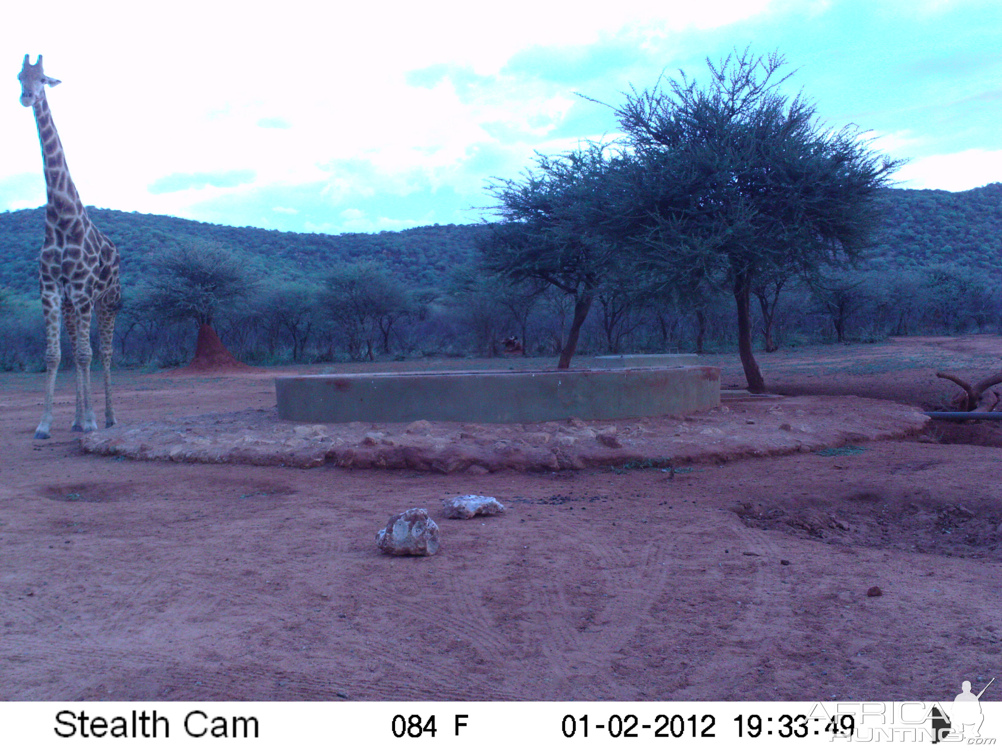 Trail Camera Namibia