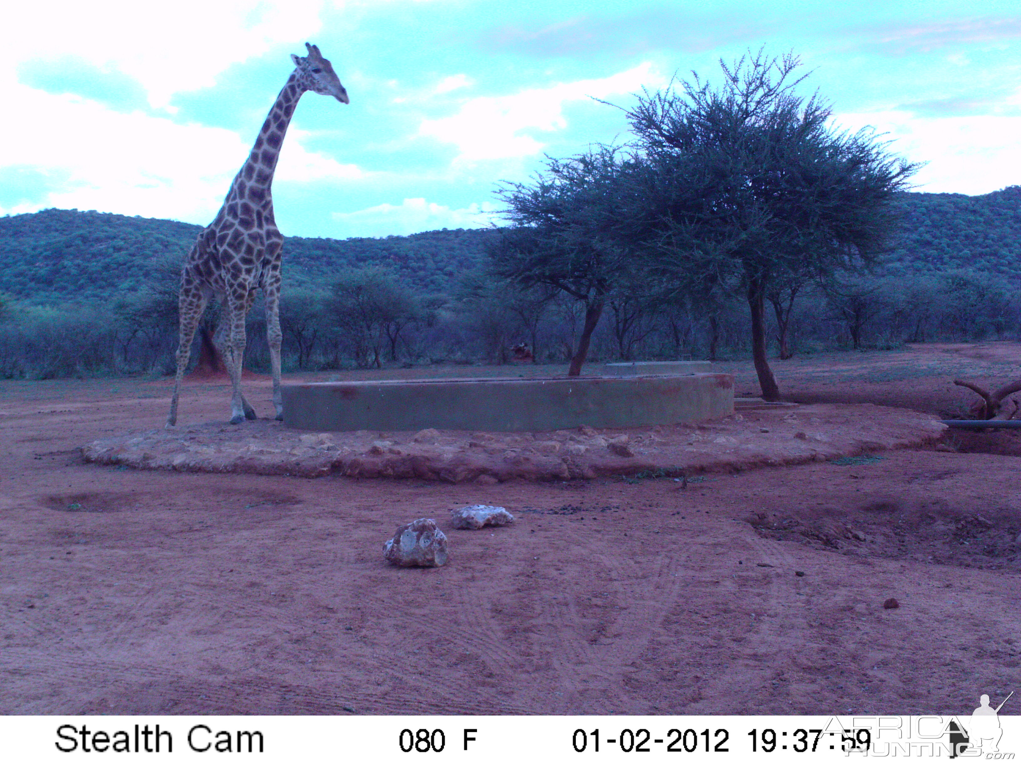 Trail Camera Namibia