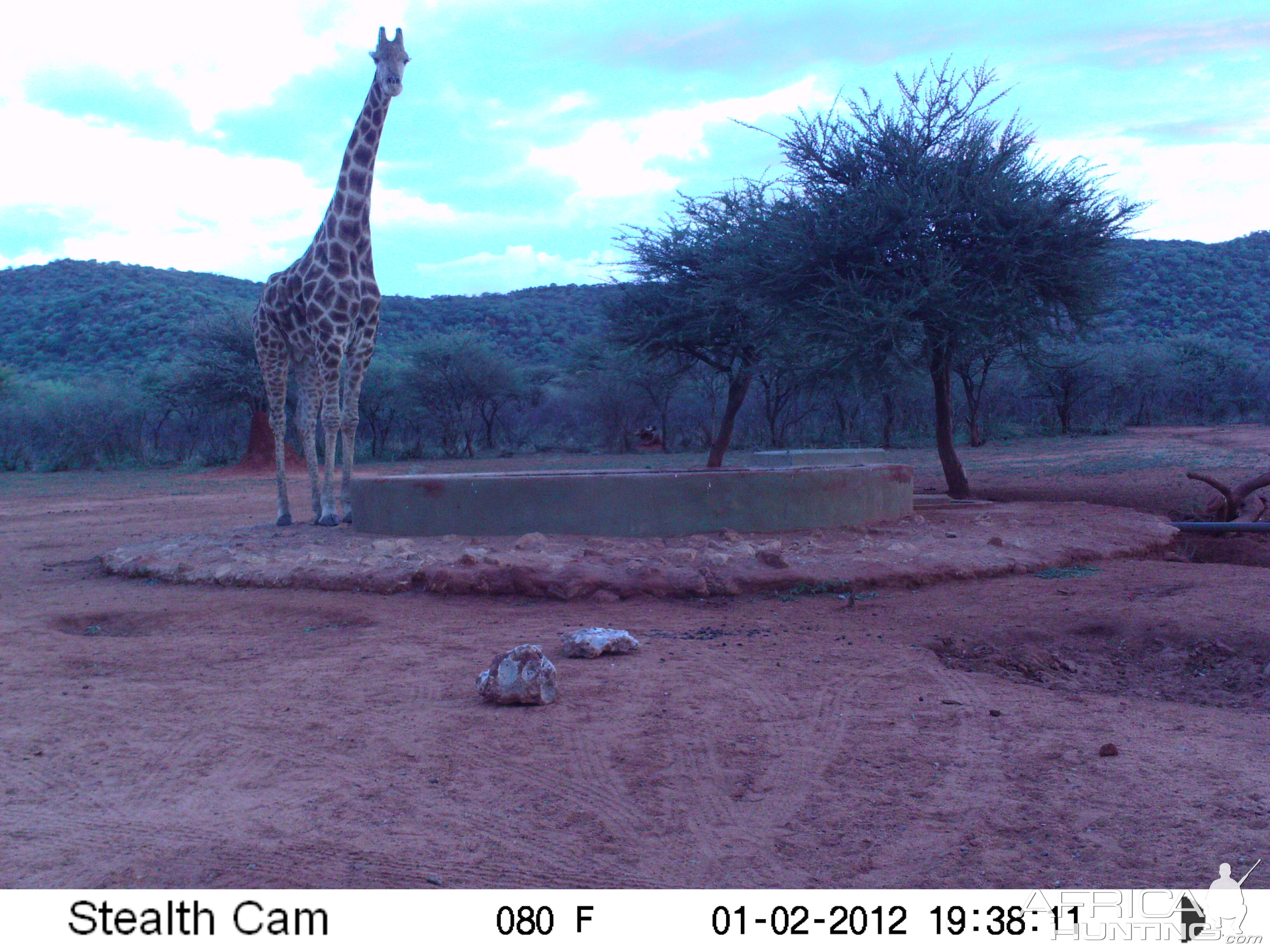 Trail Camera Namibia