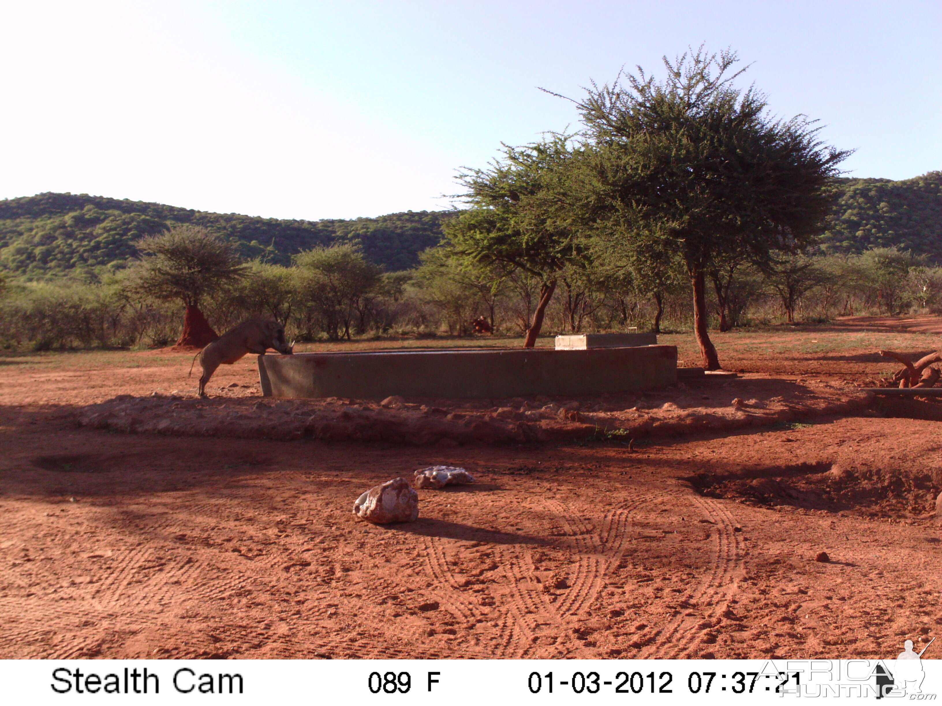 Trail Camera Namibia