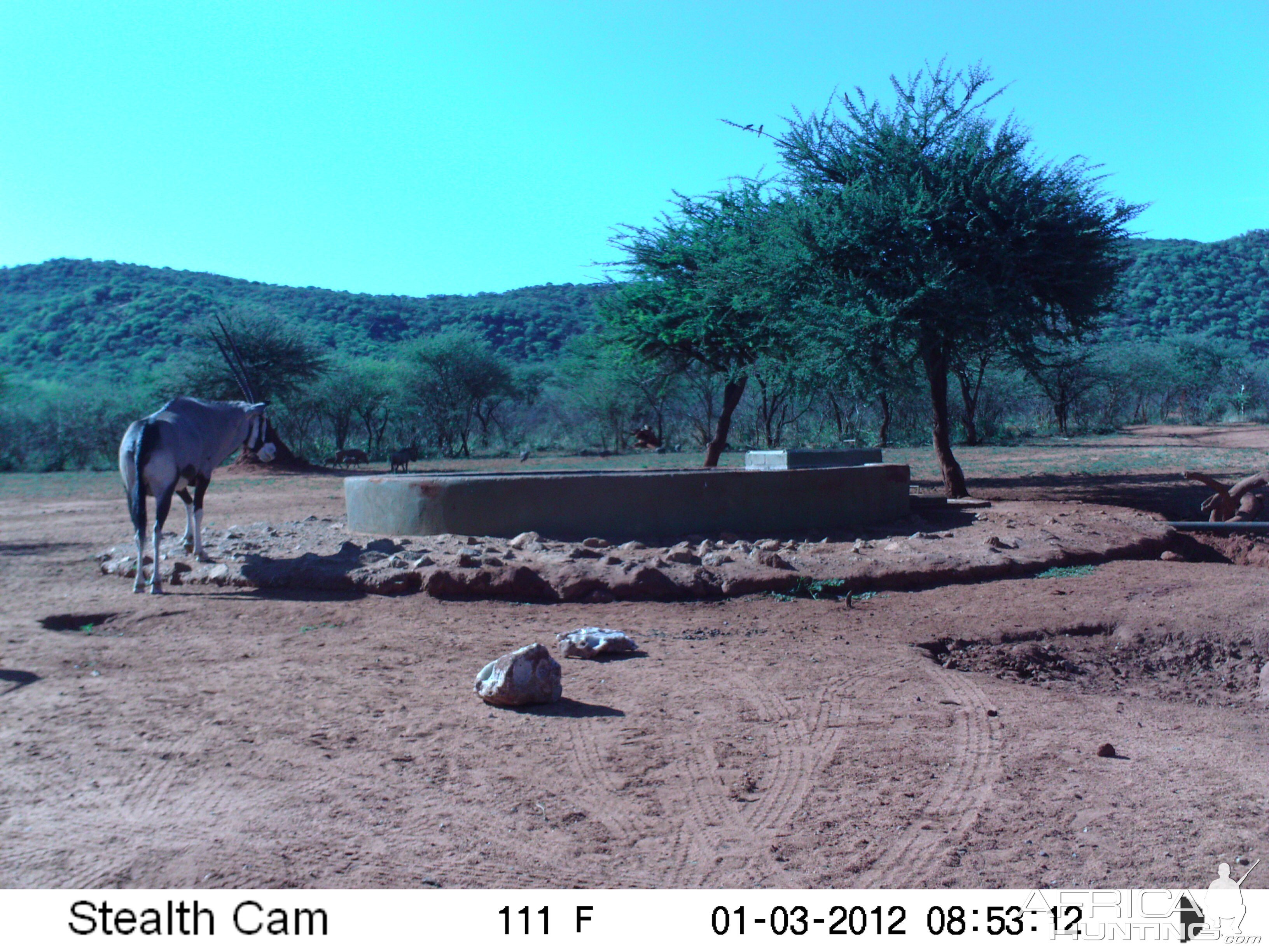 Trail Camera Namibia