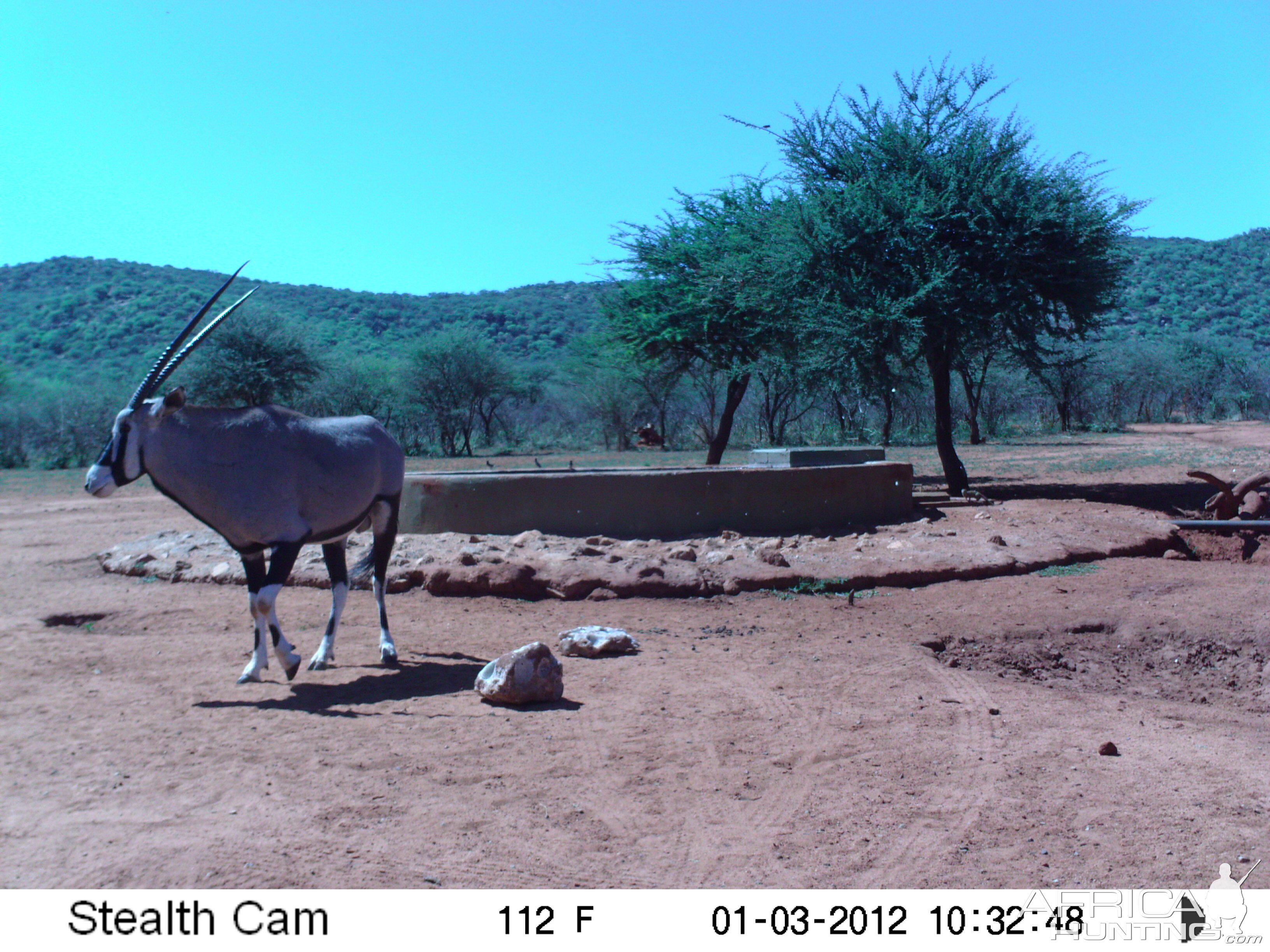 Trail Camera Namibia