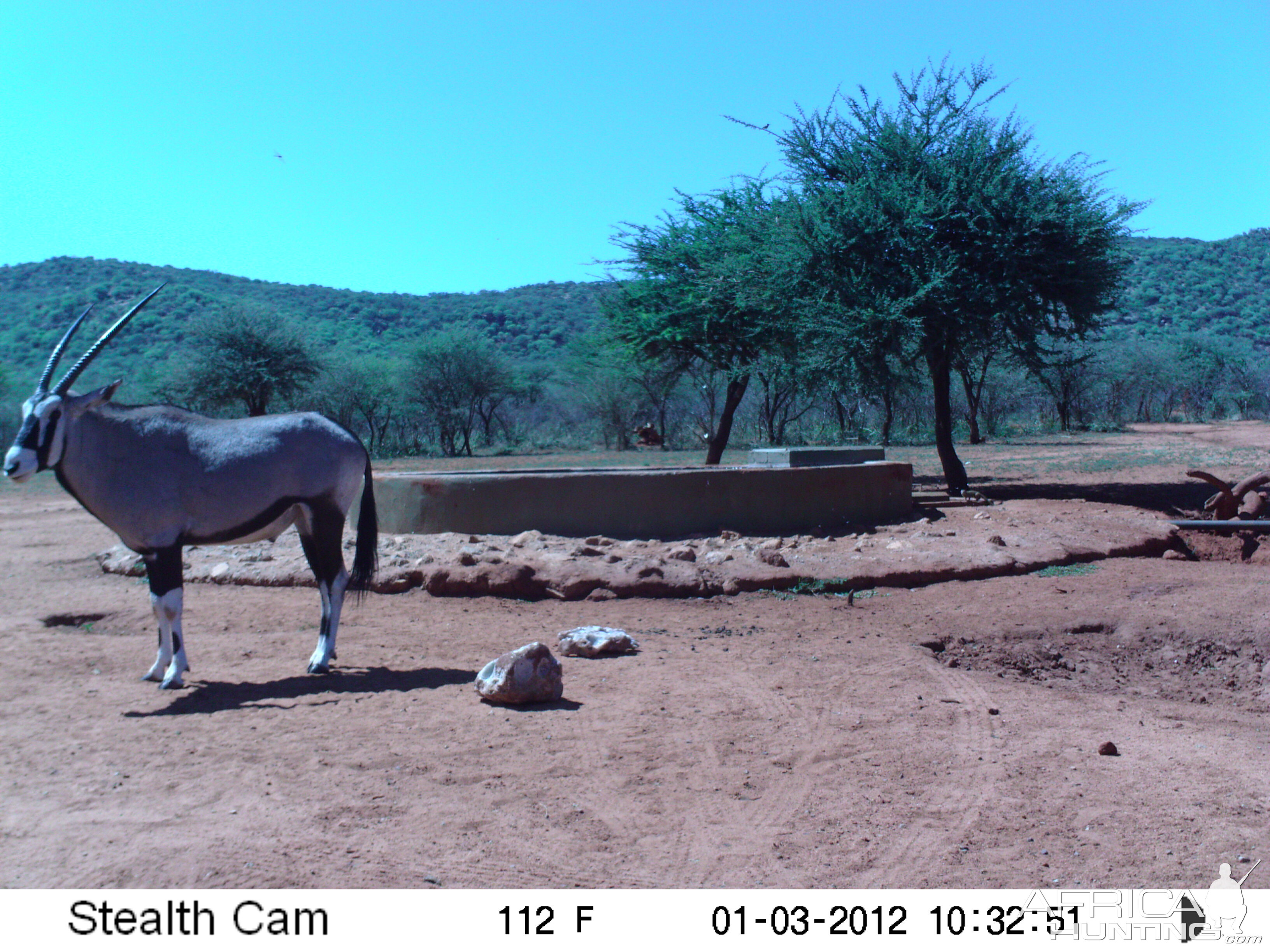 Trail Camera Namibia