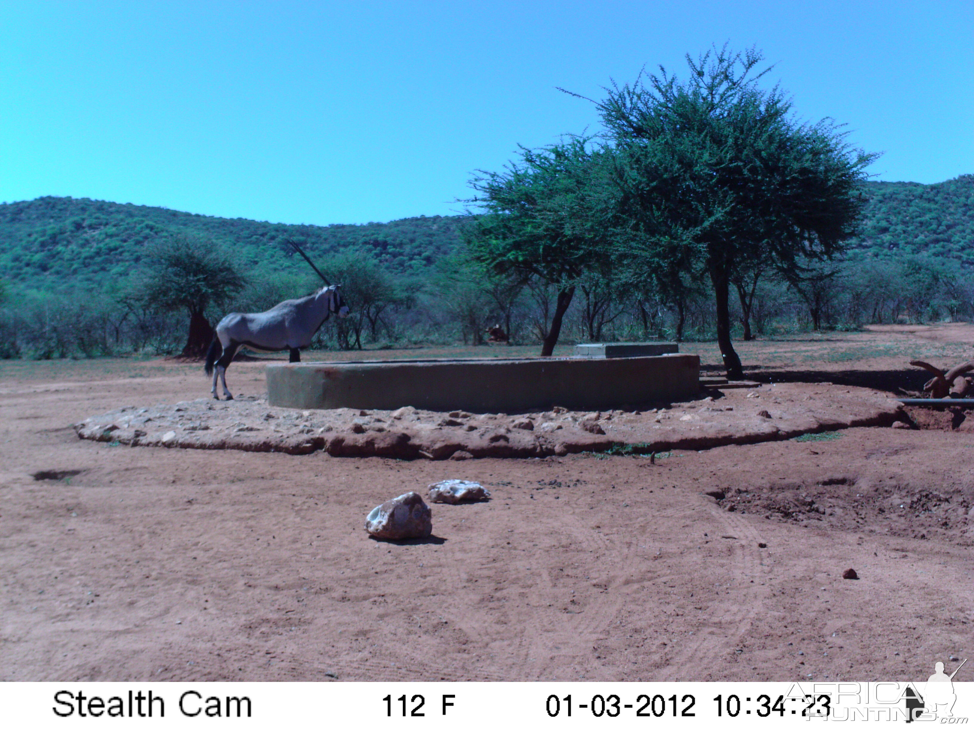 Trail Camera Namibia