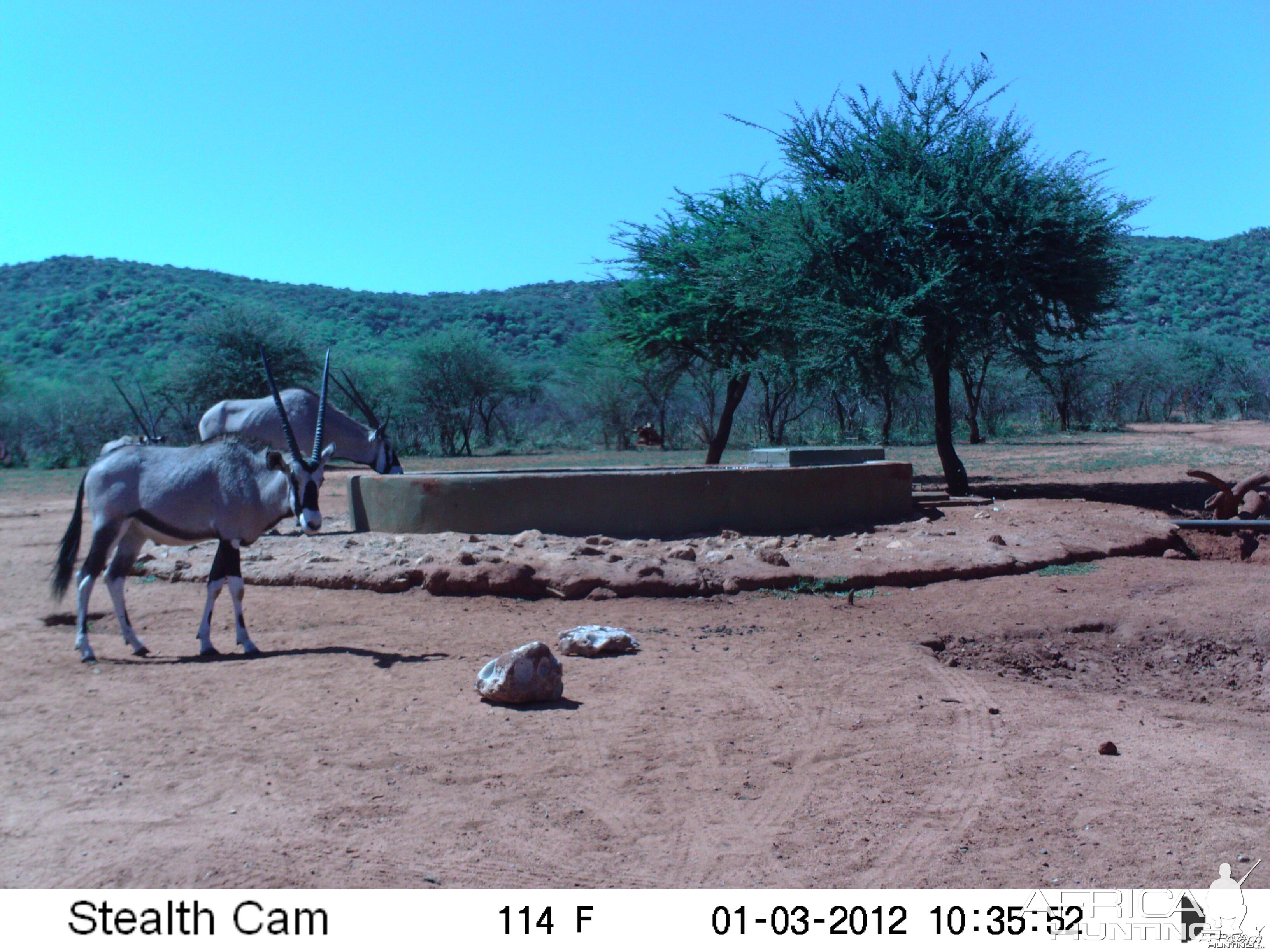 Trail Camera Namibia