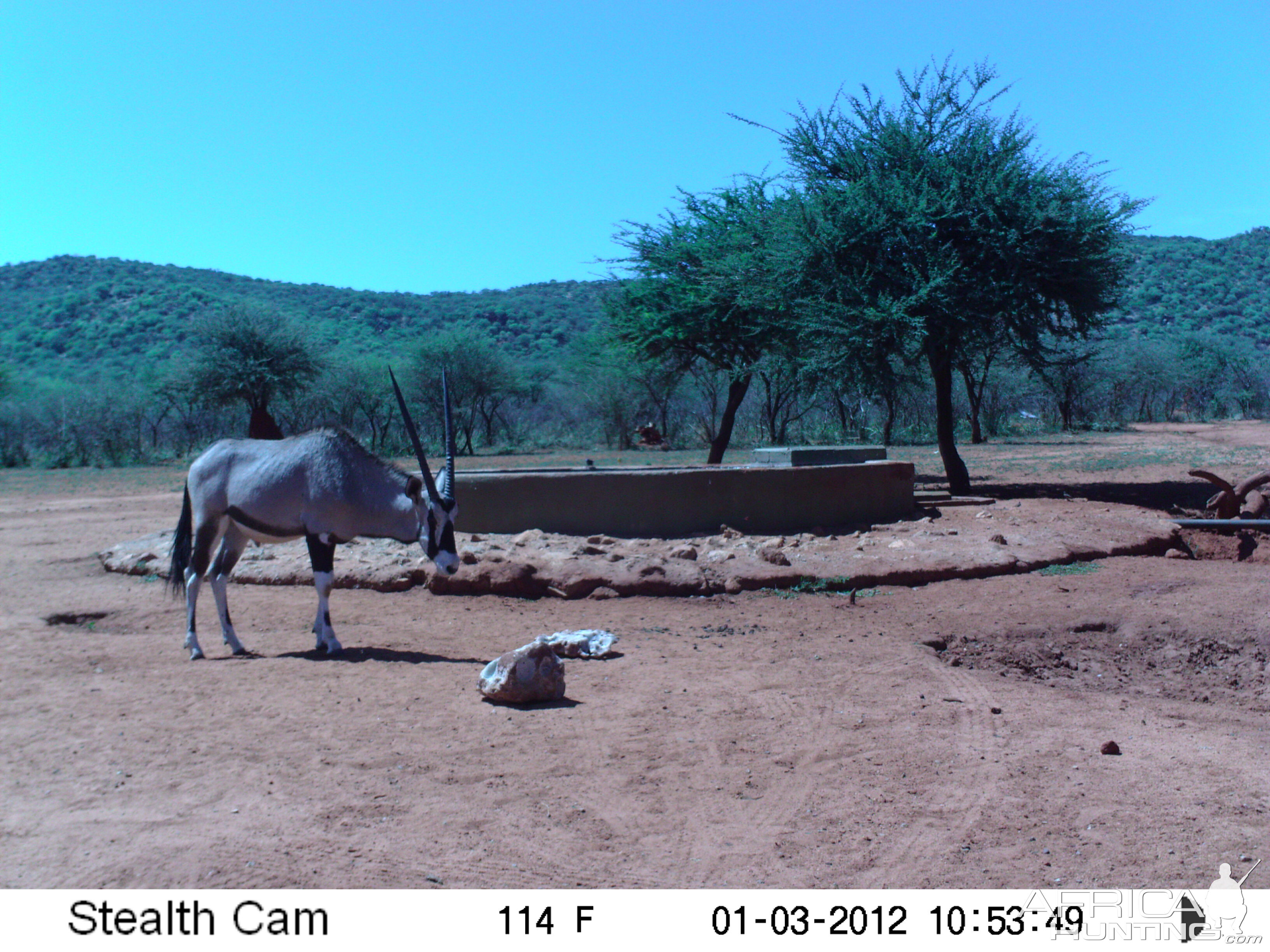 Trail Camera Namibia