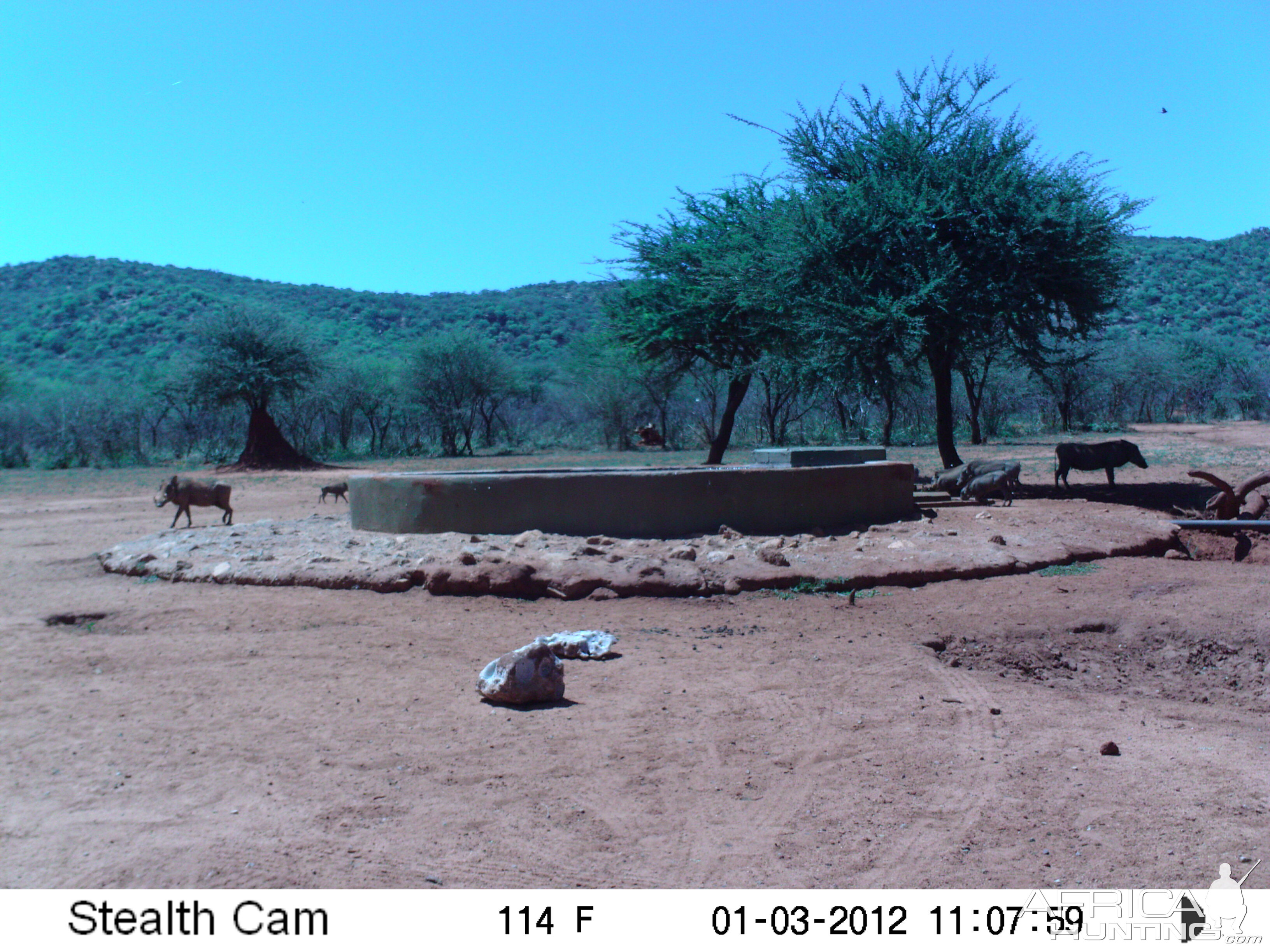 Trail Camera Namibia