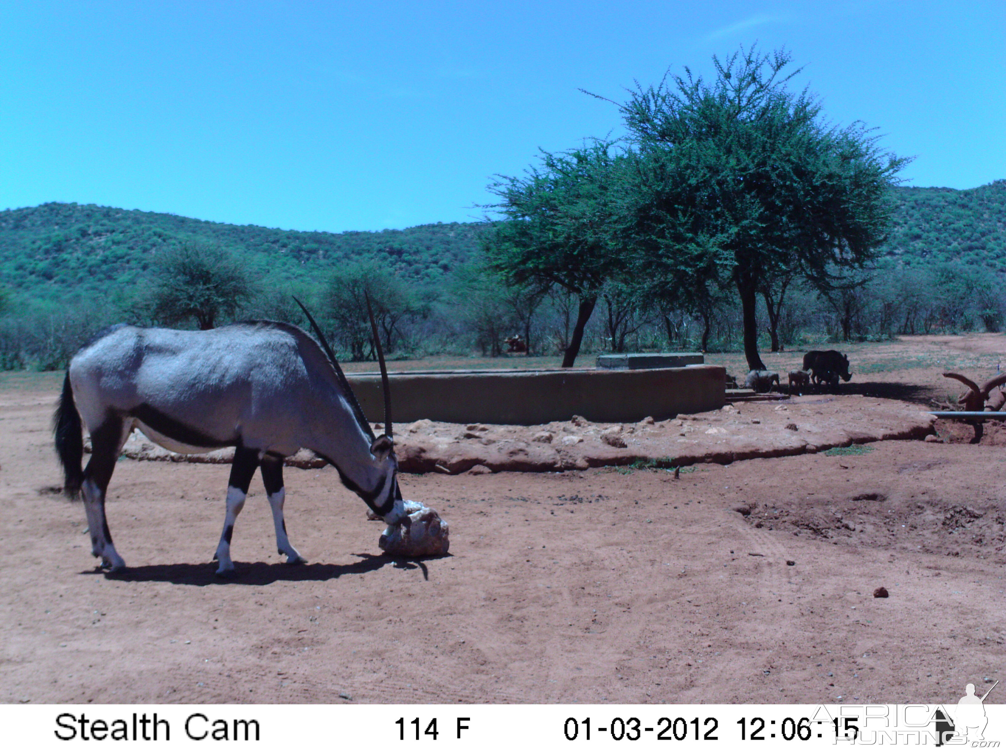 Trail Camera Namibia