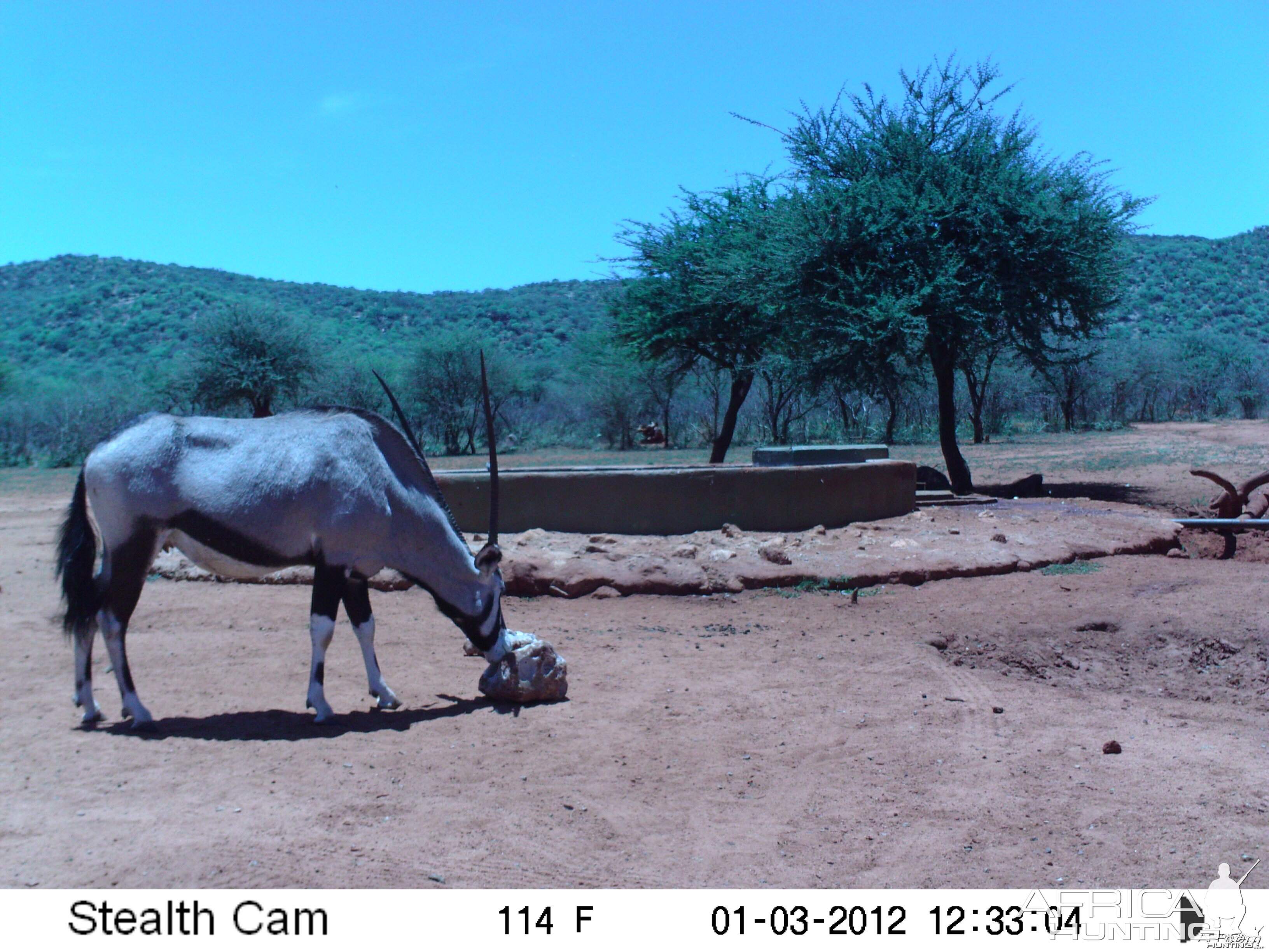 Trail Camera Namibia