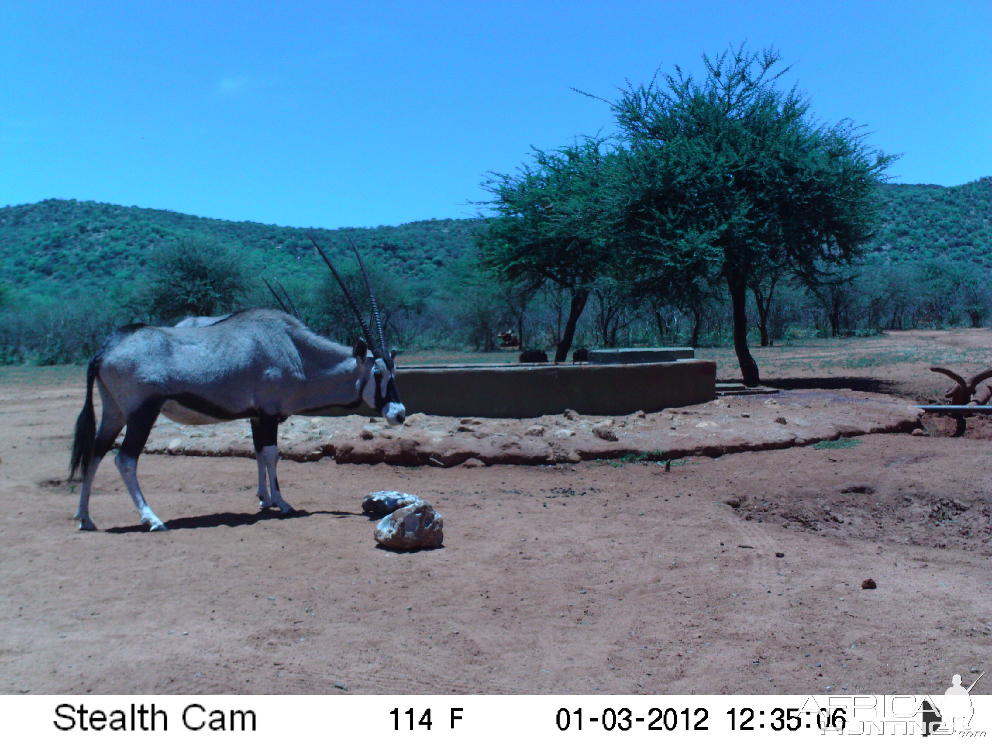 Trail Camera Namibia