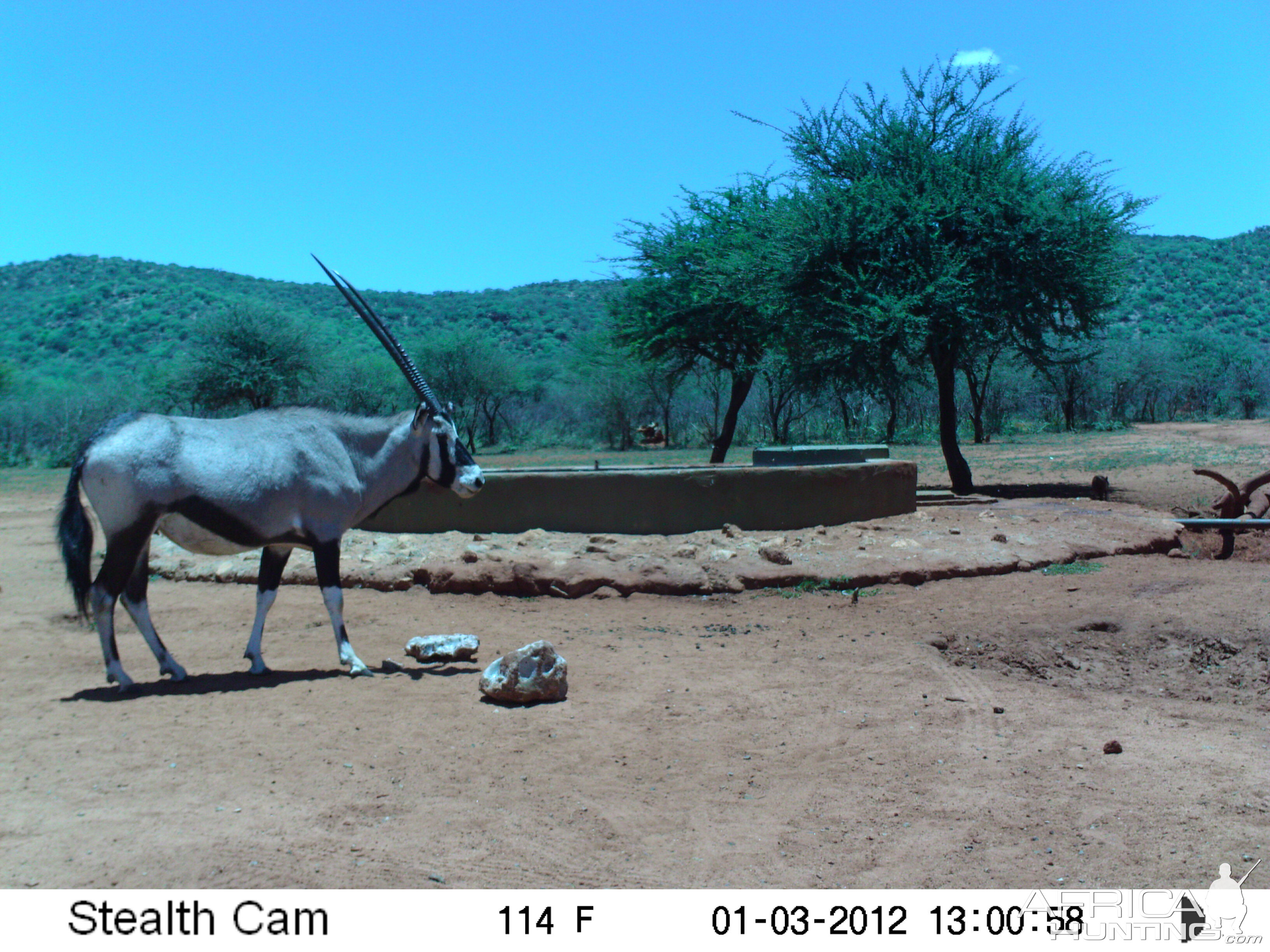 Trail Camera Namibia