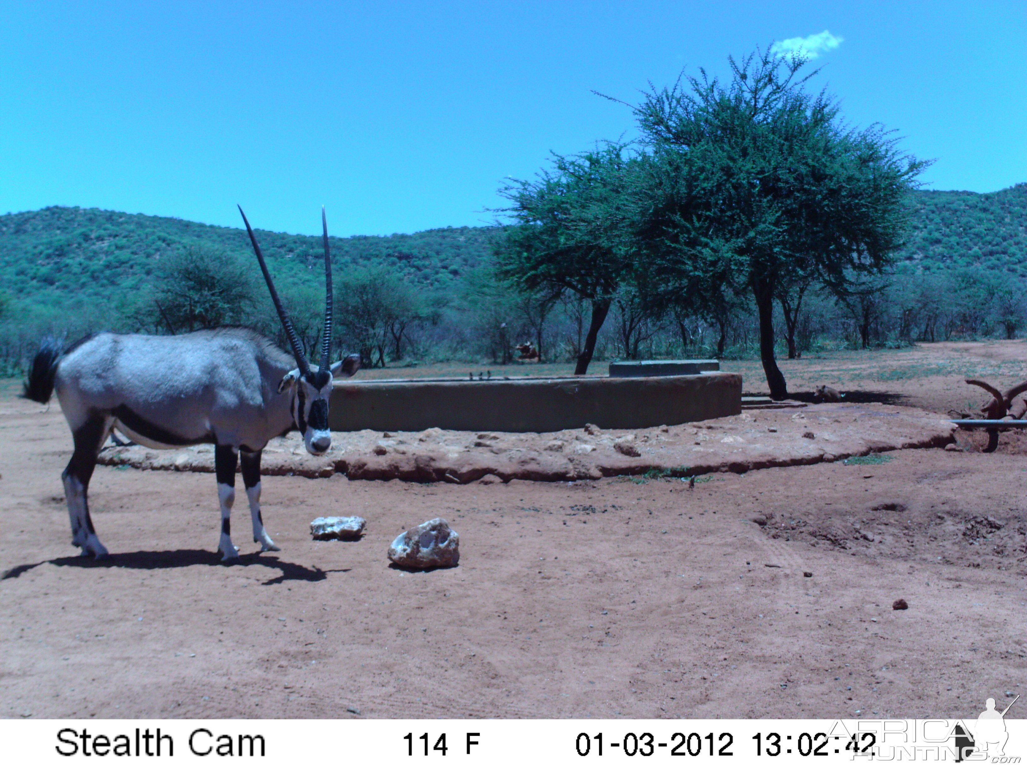 Trail Camera Namibia