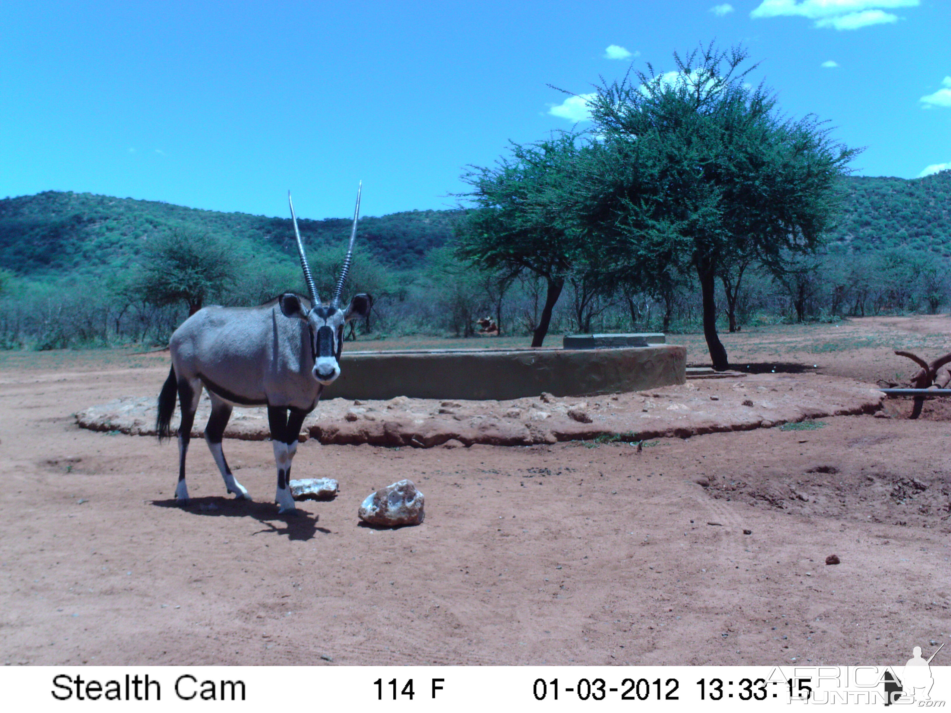 Trail Camera Namibia