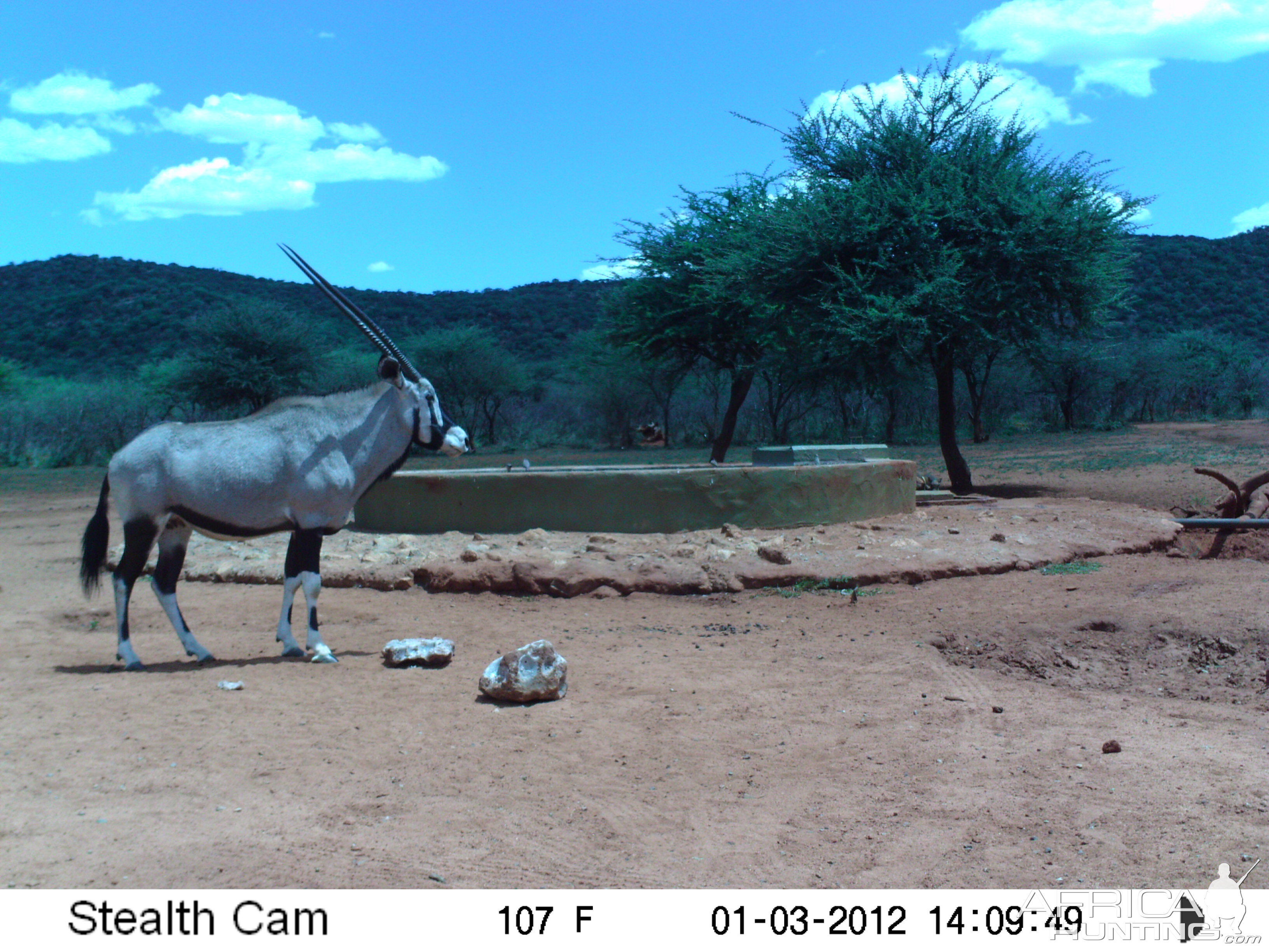 Trail Camera Namibia