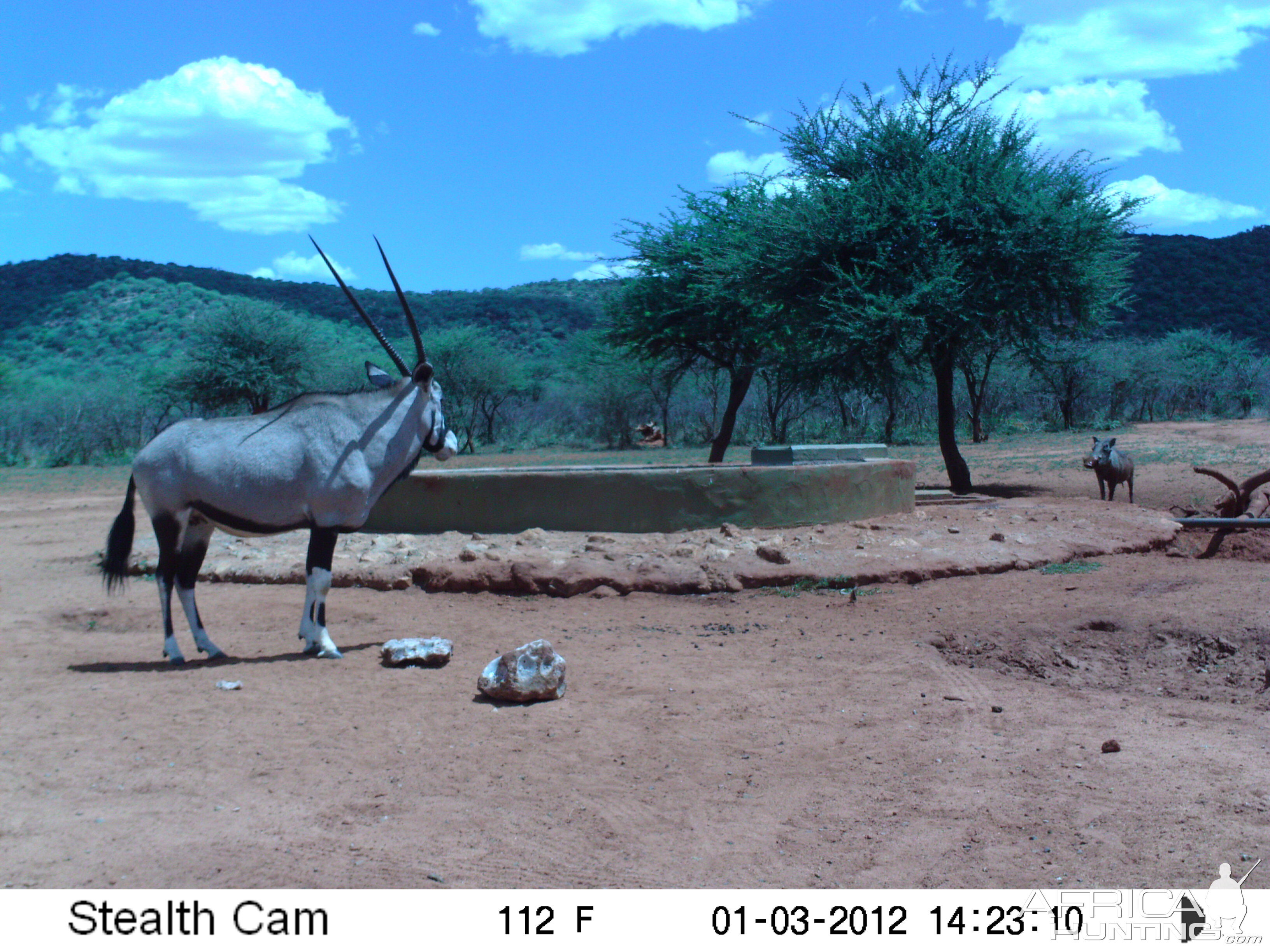 Trail Camera Namibia