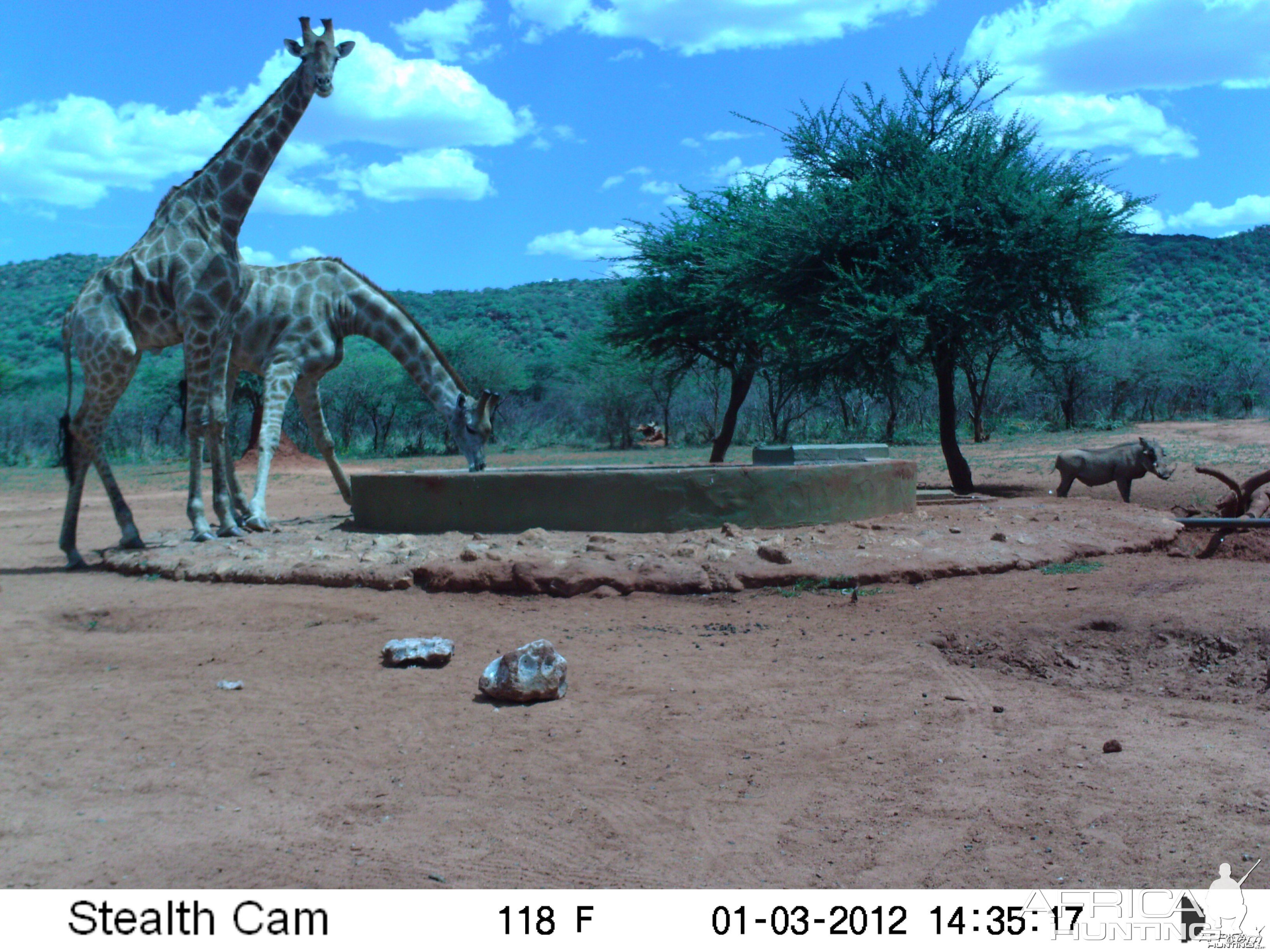 Trail Camera Namibia